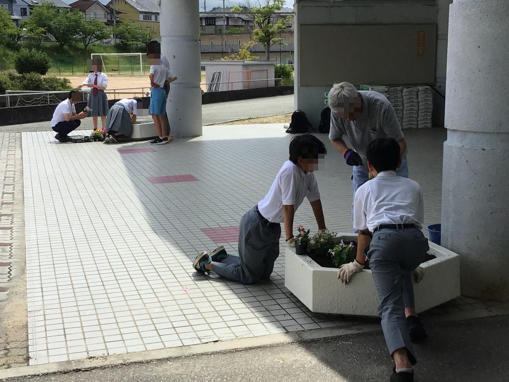 花植え1