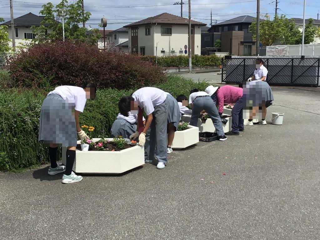 花植え2