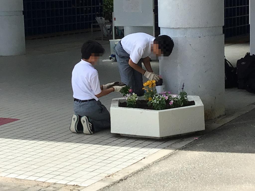 花植え3