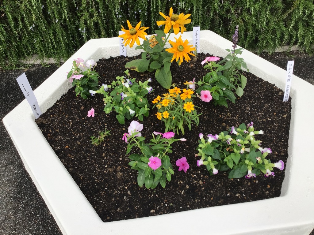 花植え4