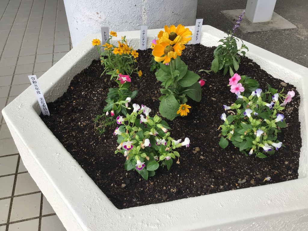 花植え5