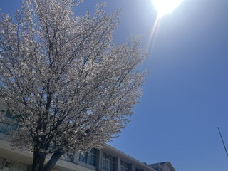 夢や目標を語れる生徒