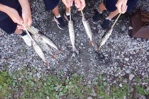 2日目「魚つかみ」に捕まえたアマゴをいただきました。
