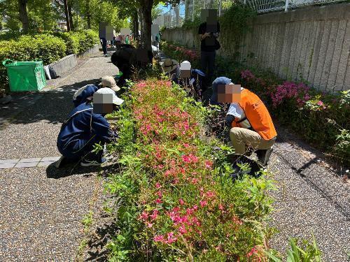 地域の方と一緒に草抜きボランティアに参加しました。