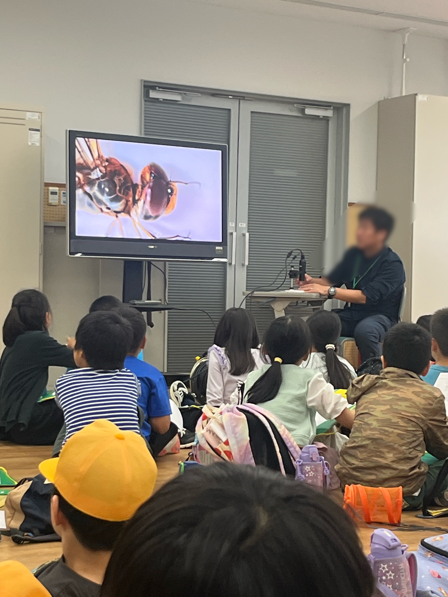 つかまえてビニール袋に入れた虫をこうやって拡大して説明してくれんした