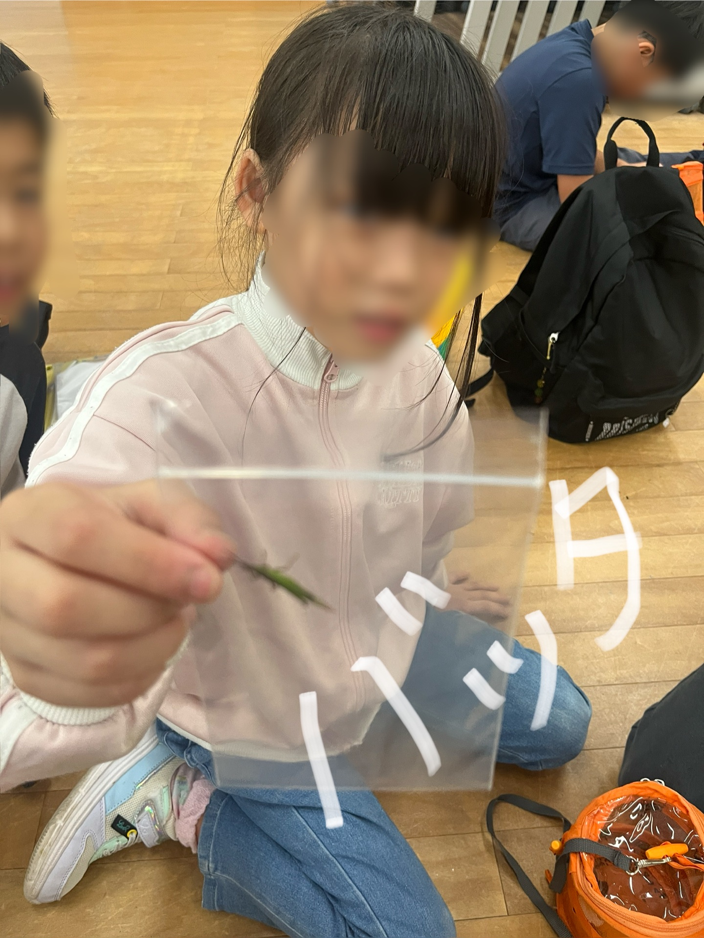 捕まえた虫をビニール袋に入れます