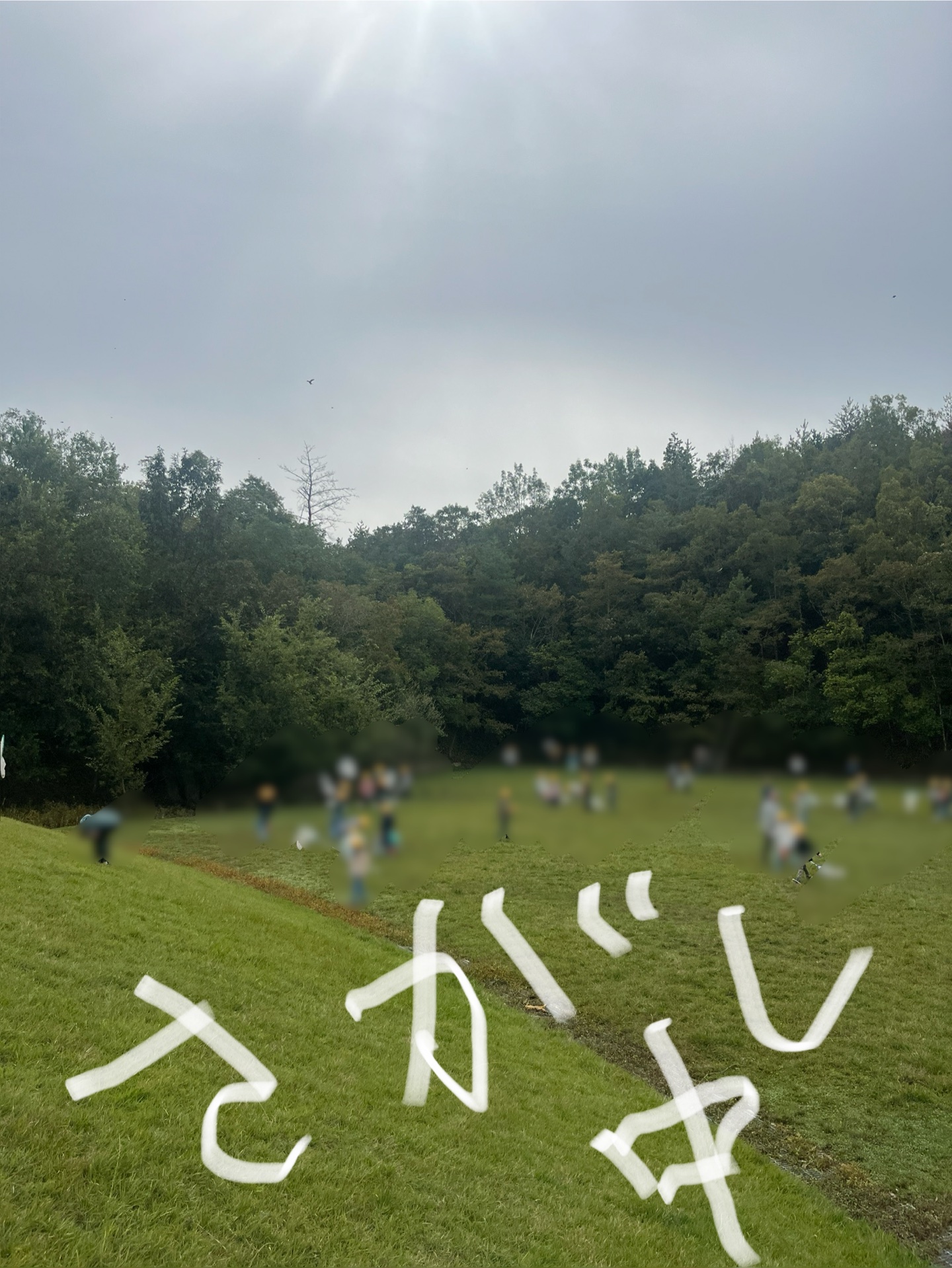 探している現場は、こんな感じ