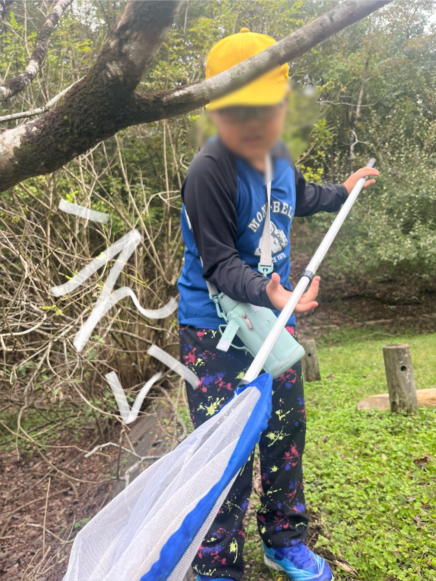 さっそく捕まえる