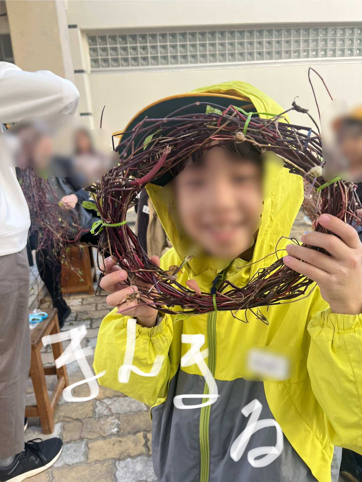 まんまるにしたよう