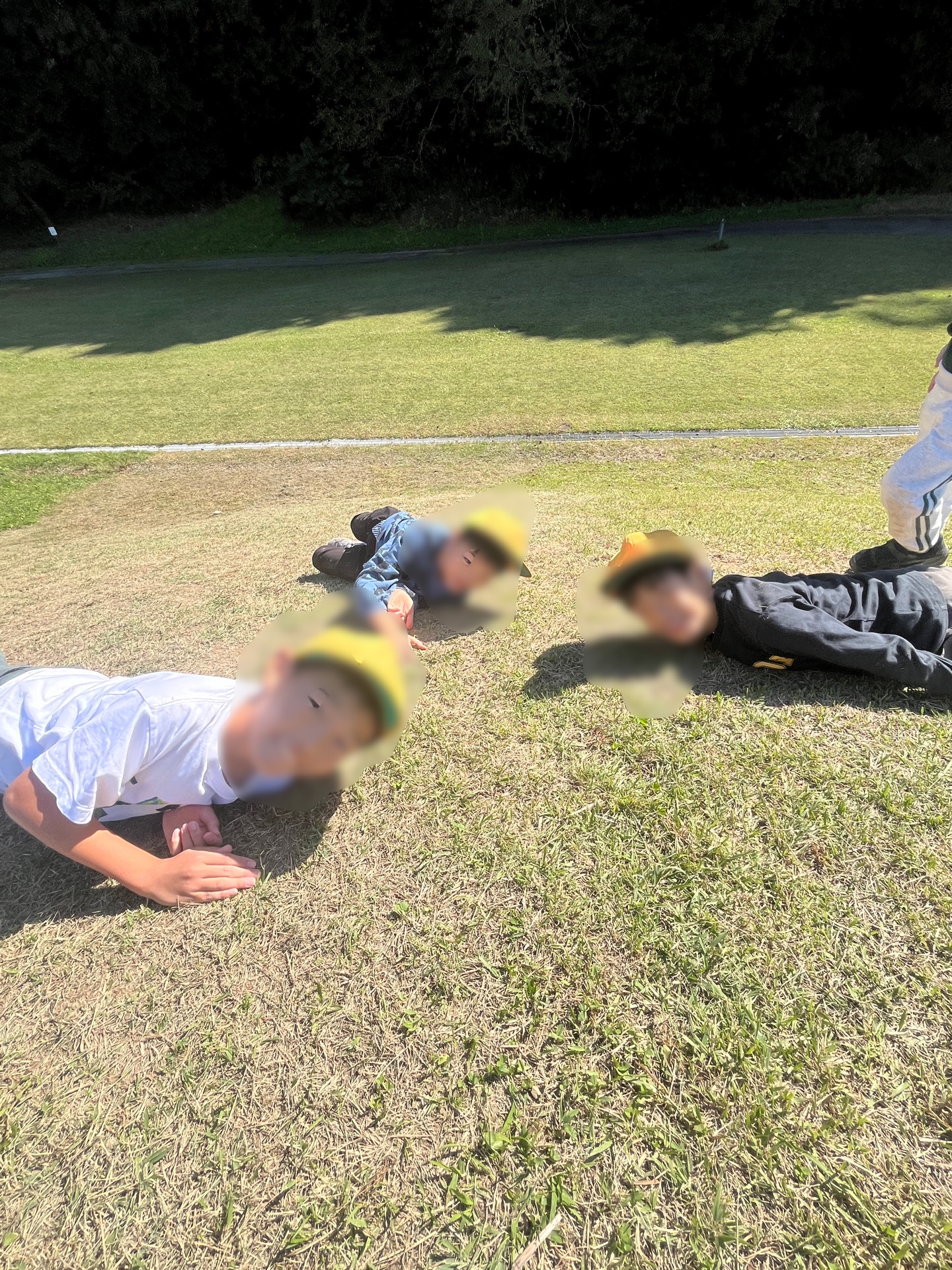 芝生を転がり落ちる