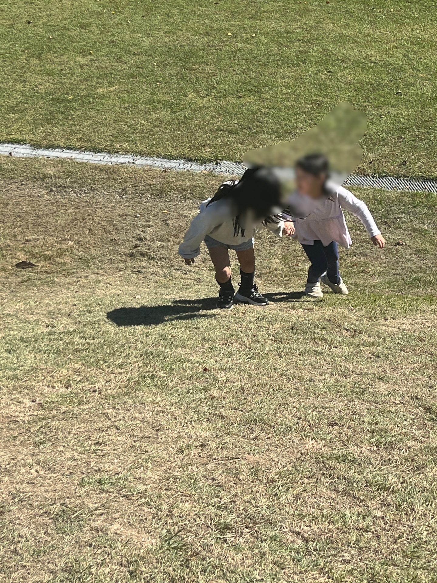 この山を登れば