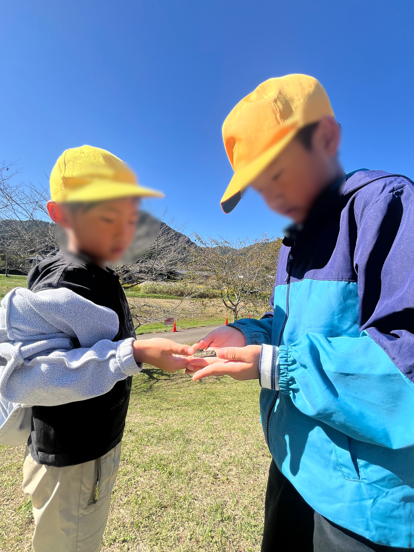 でっかい幼虫ミッケ