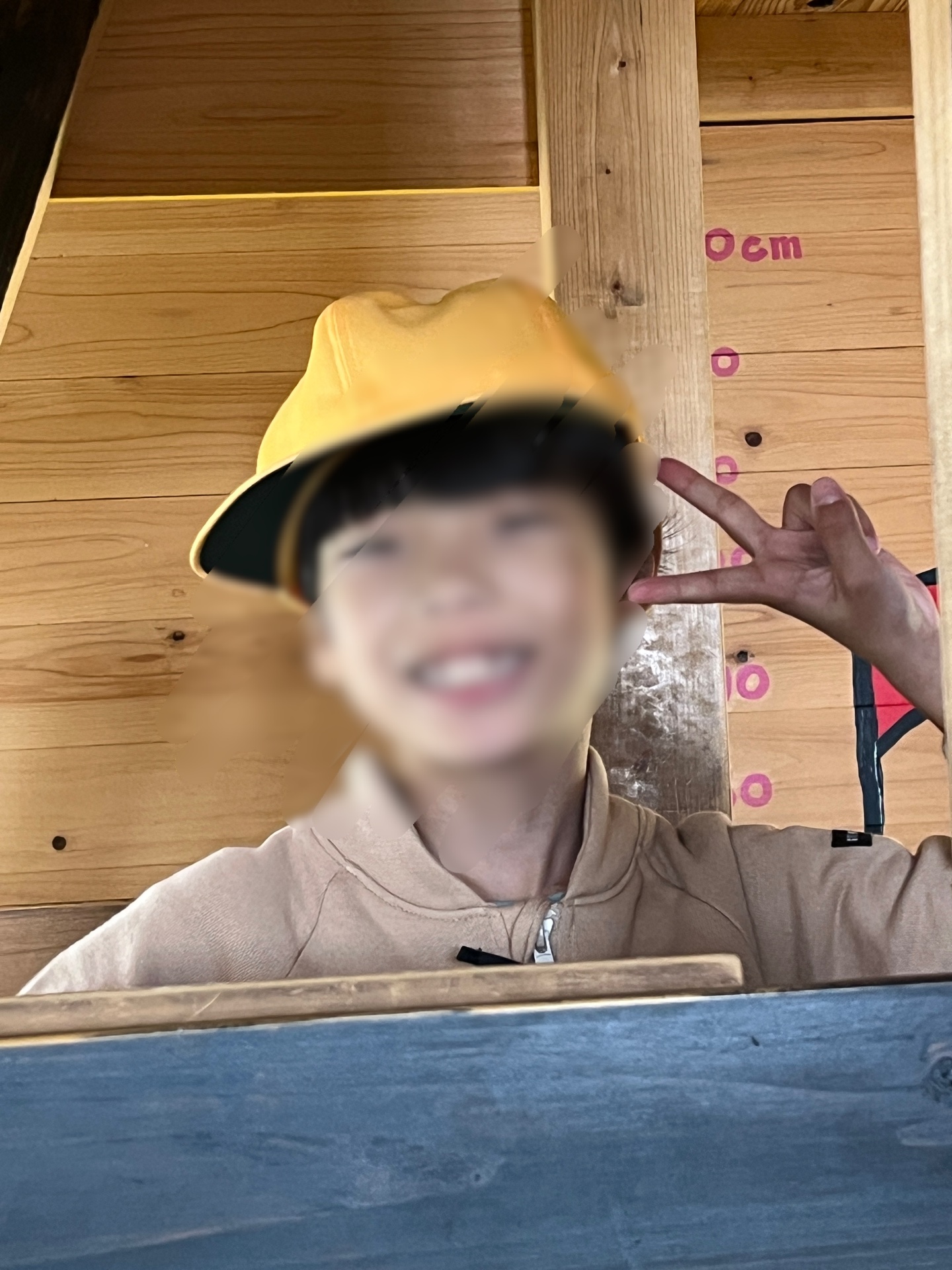 2階からこんにちは