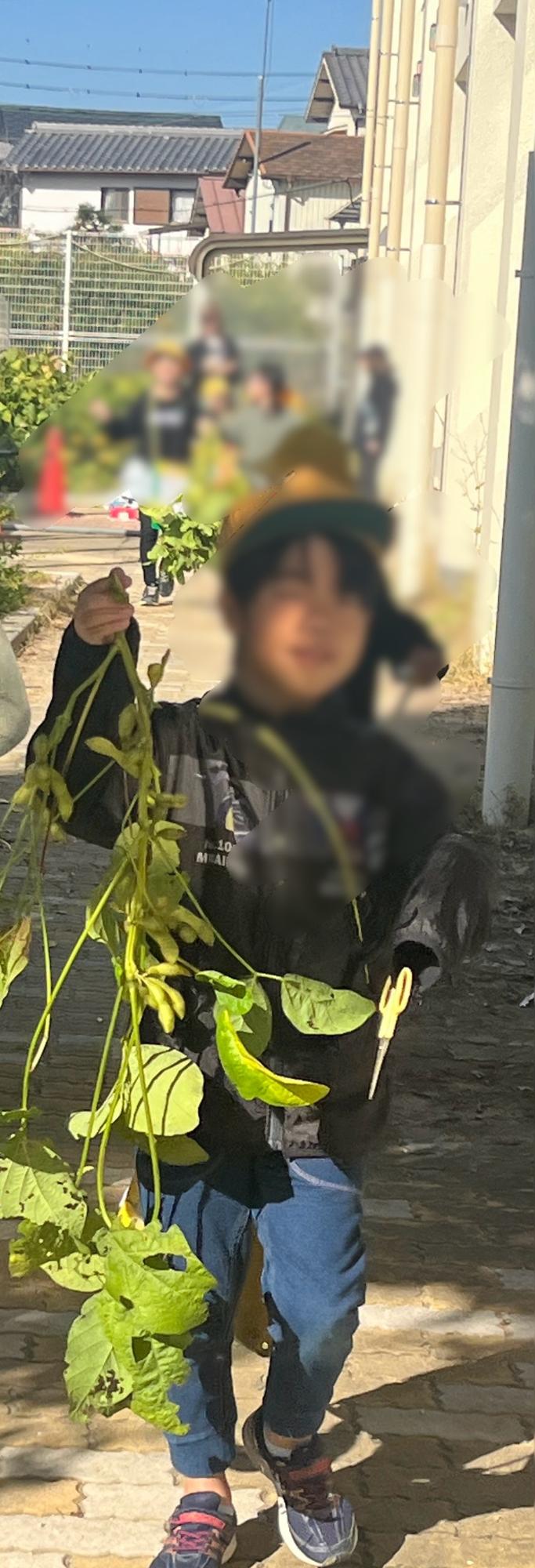 そして茎を切るのも一仕事