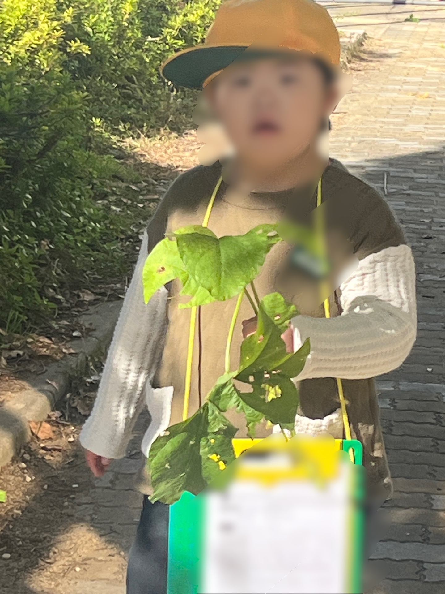 収穫をすることで、その大変さを知る