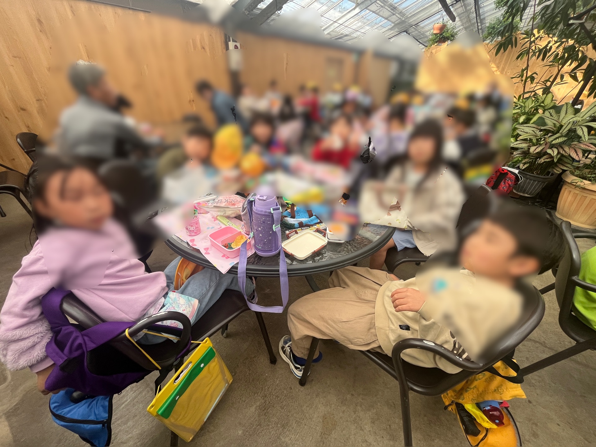 こちらは、お弁当