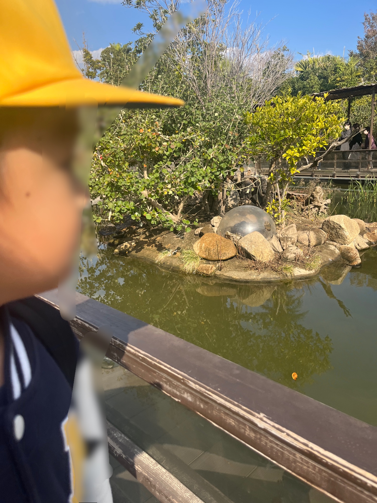 目線の先には、おっきなトリが