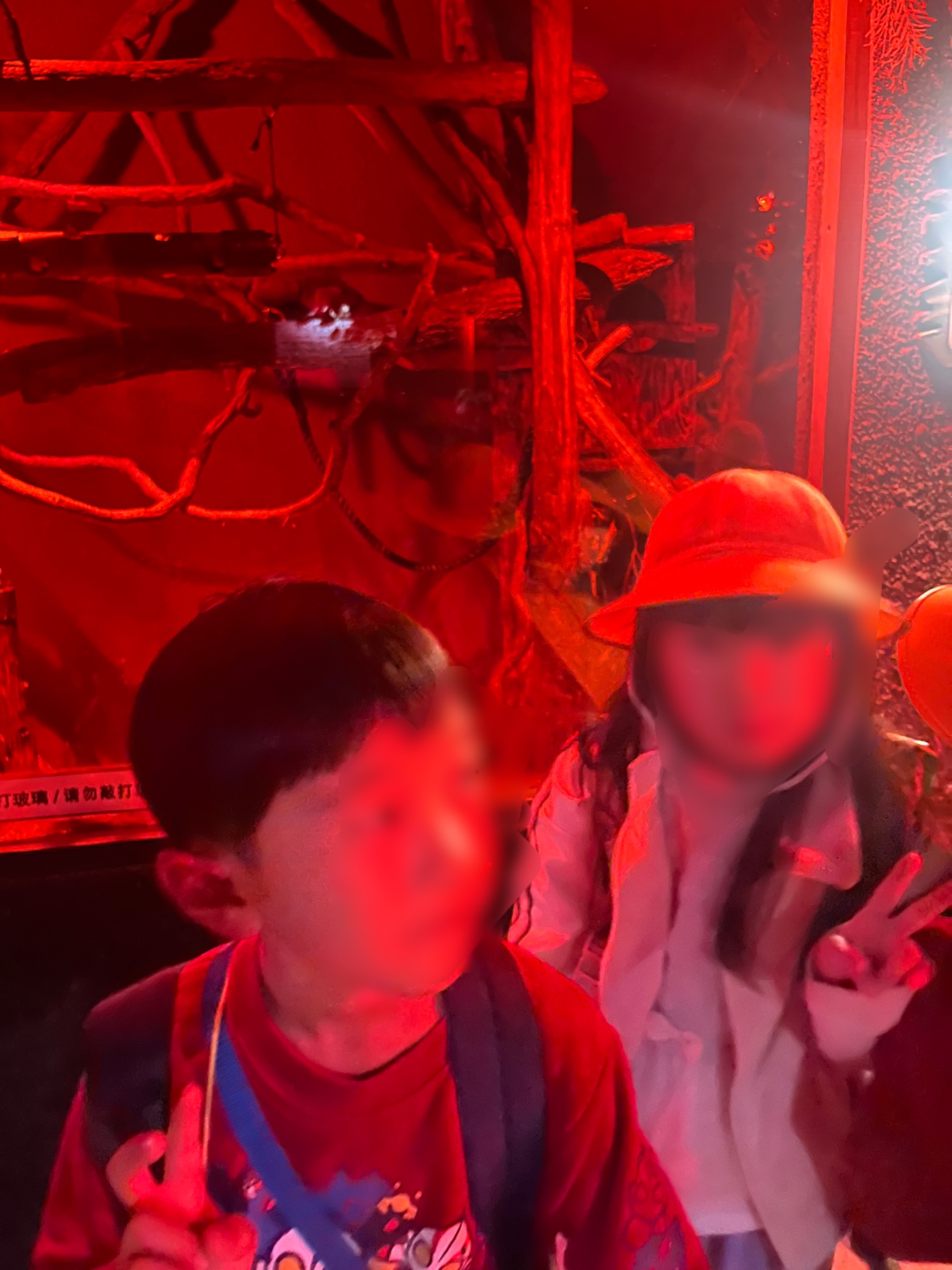 モモンガを見ながら、はいピース