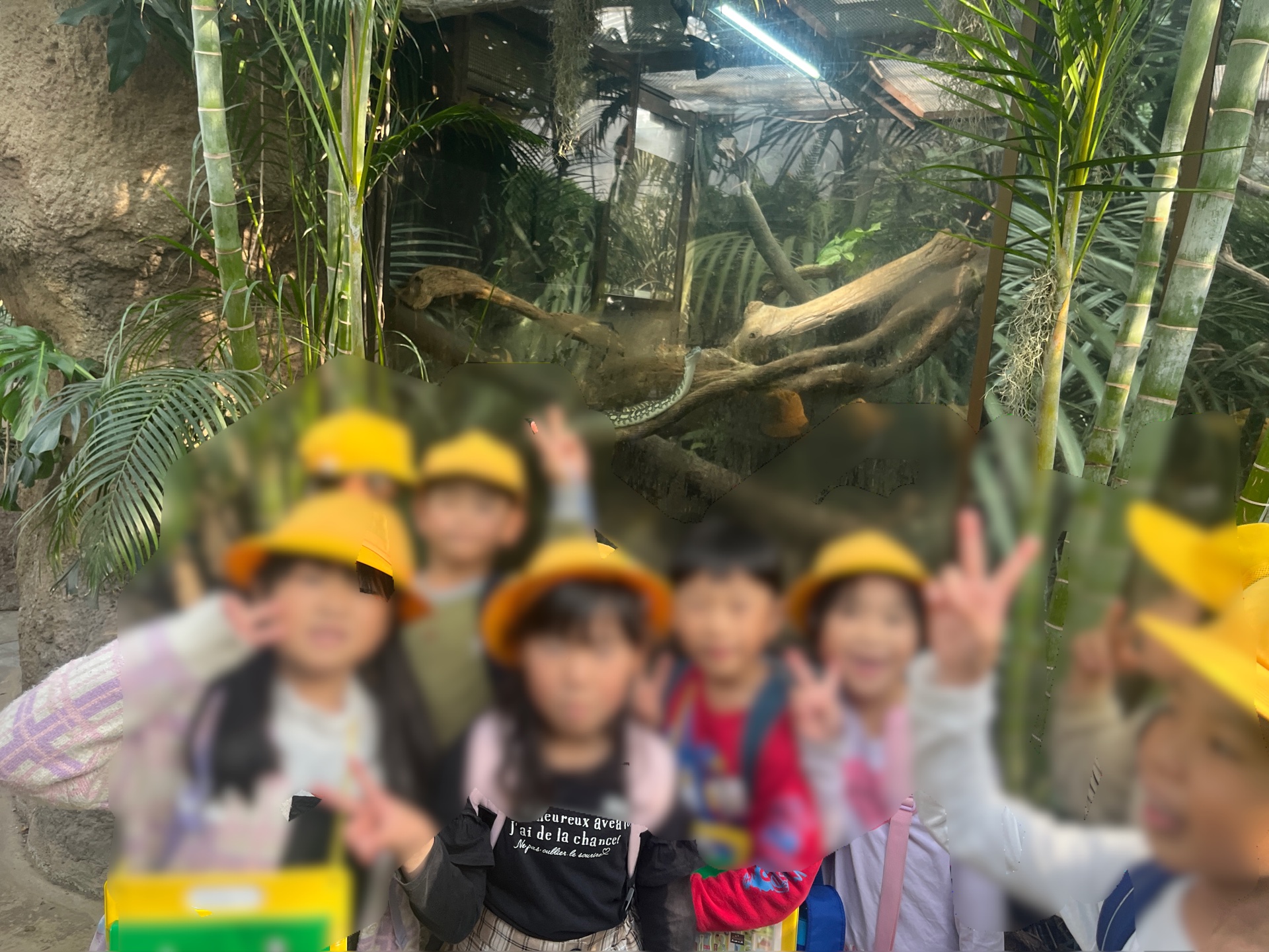 ジャングルの守