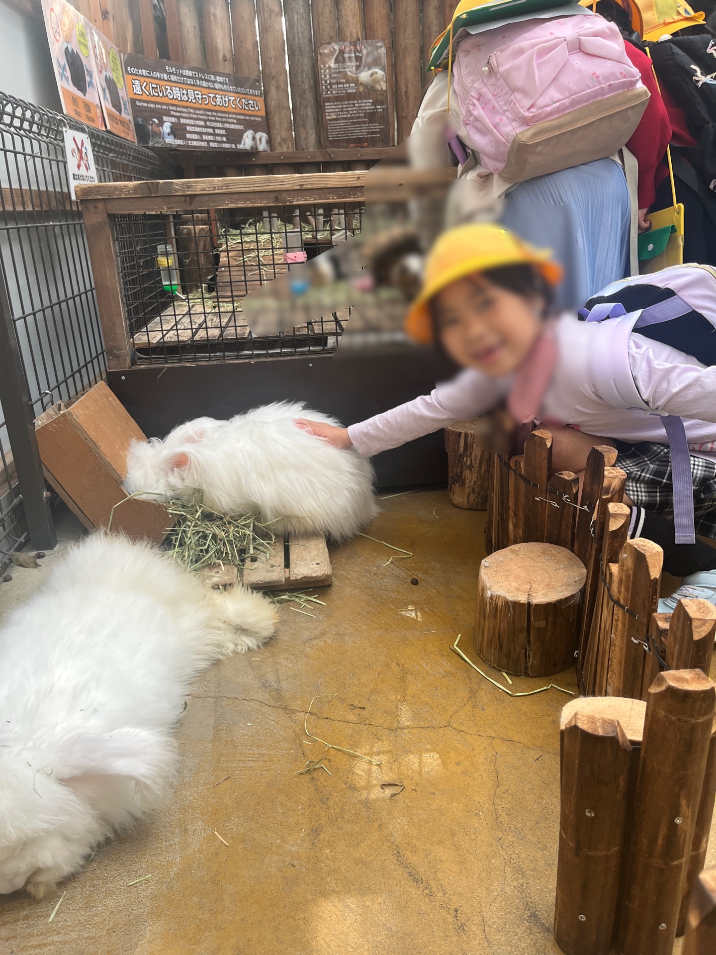 いつまでもさわっておきたい