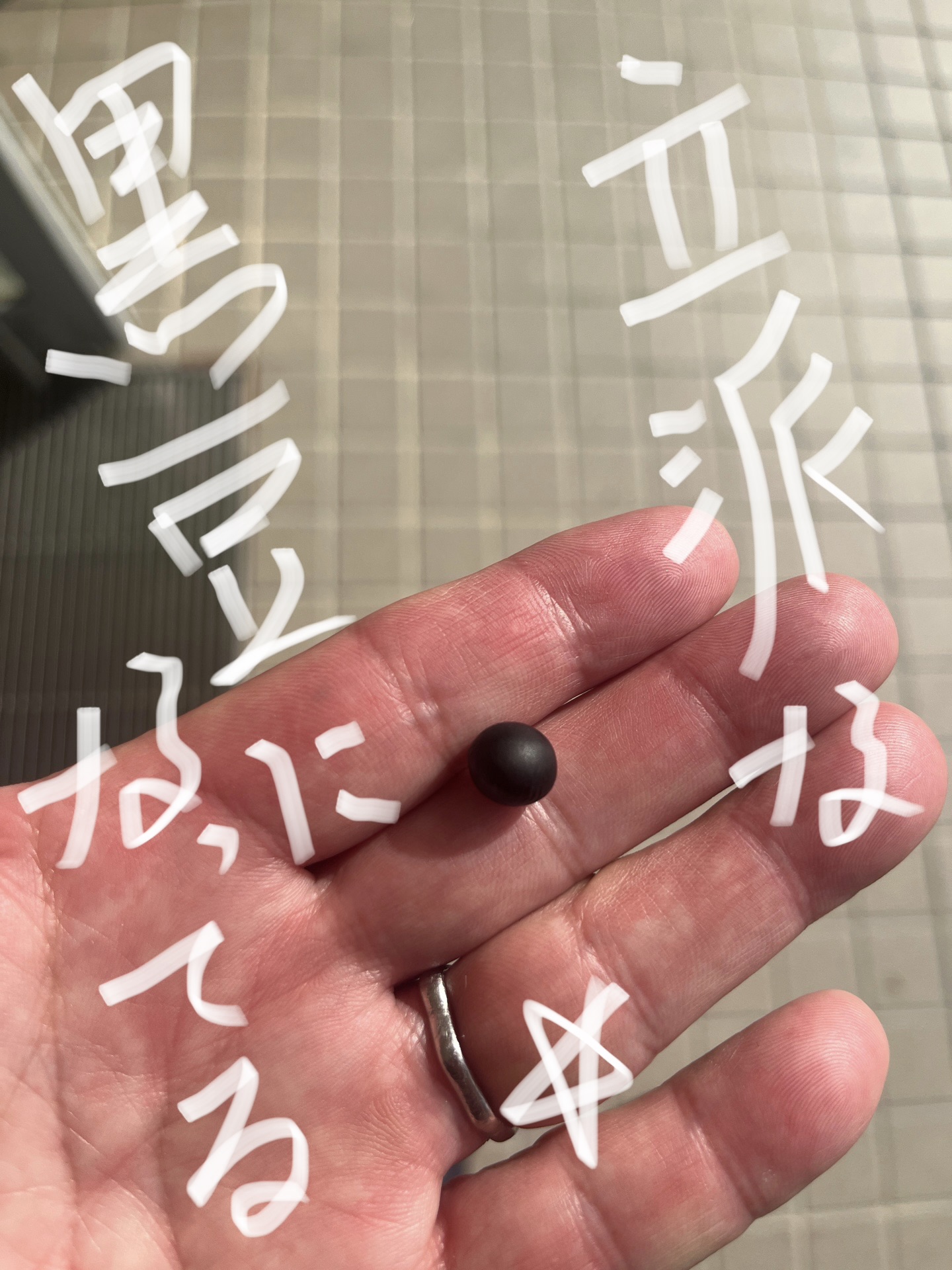 立派な黒豆になっています