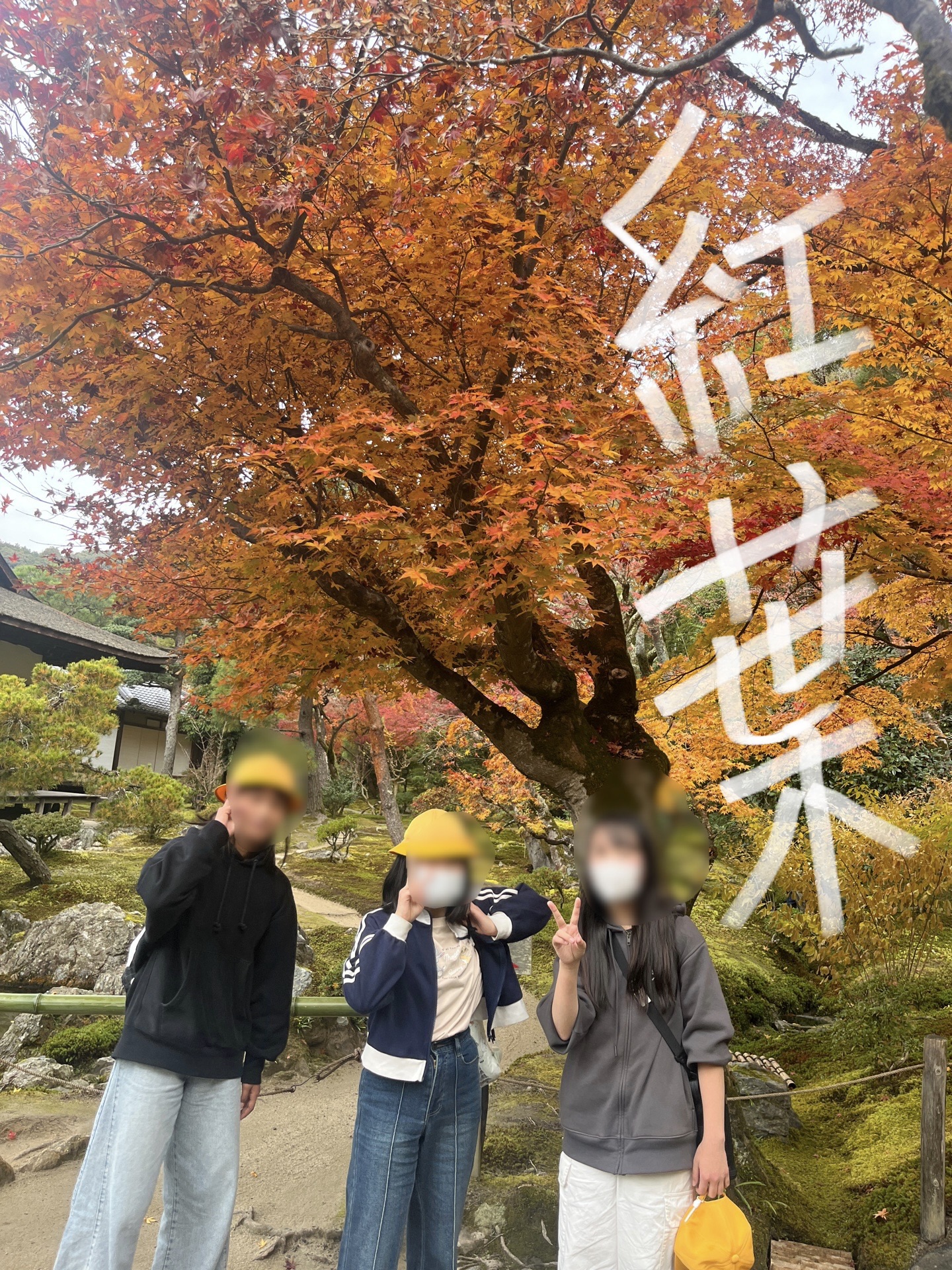 モミジがまだ残っていた