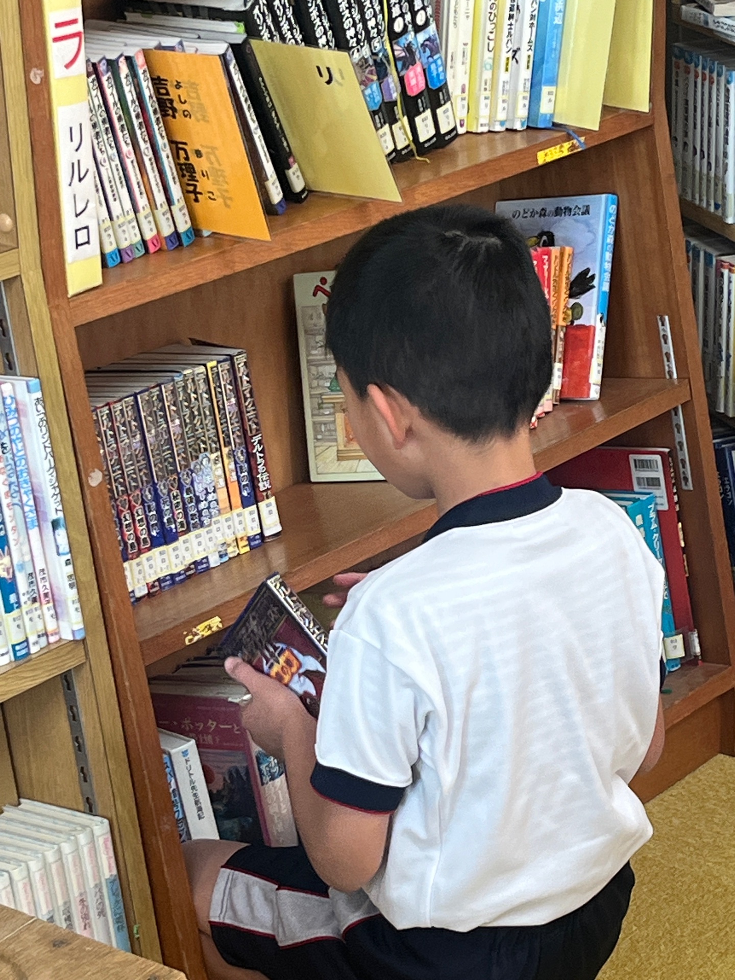 どれにしようかな