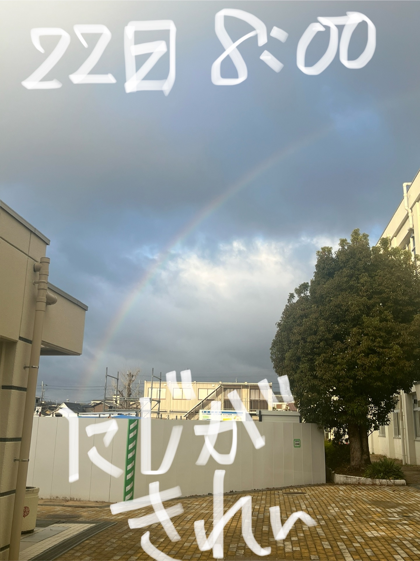 虹がとってもきれいでした