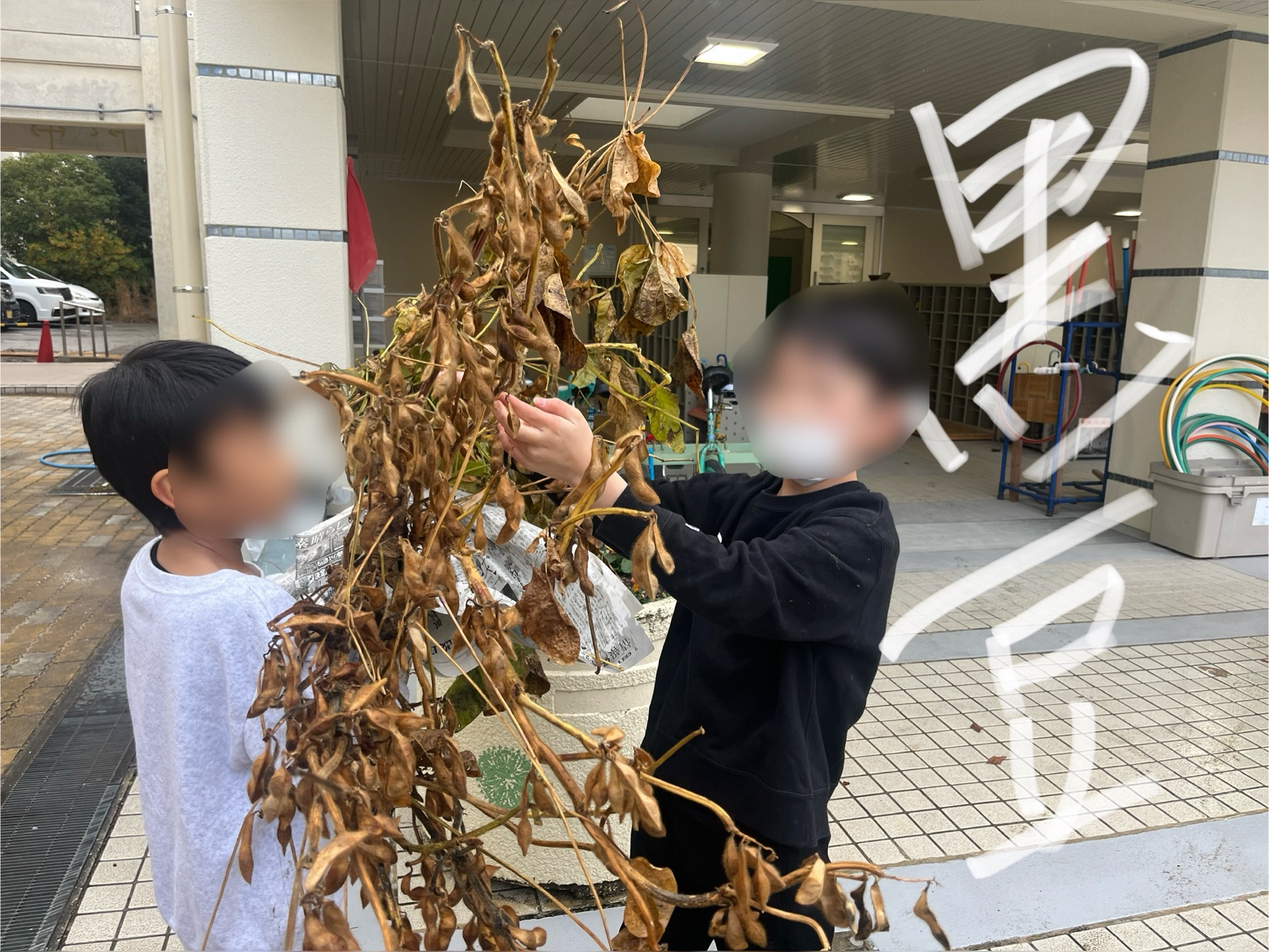 えっほえっほって、運んでいます