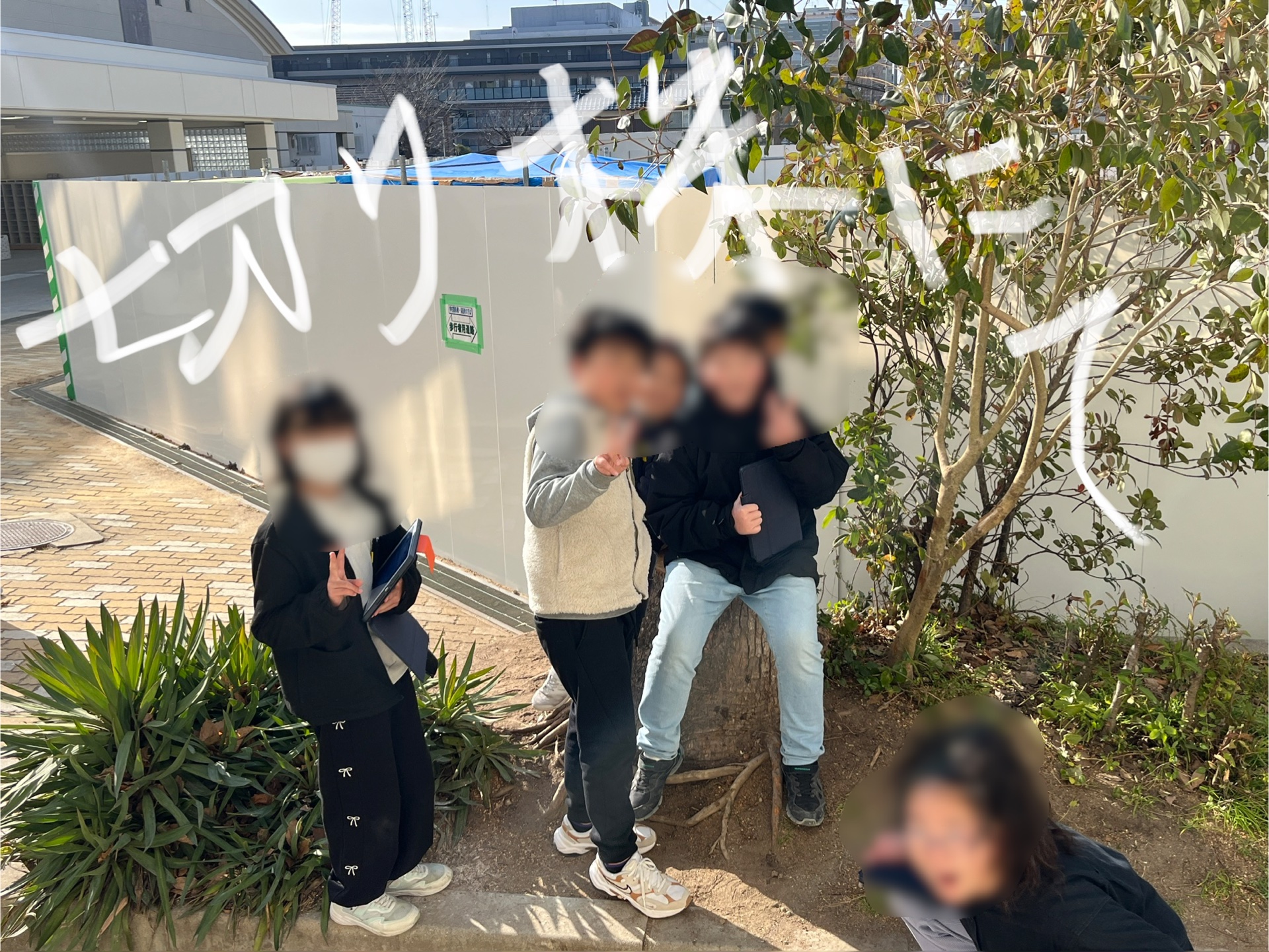 憩いの切り株です