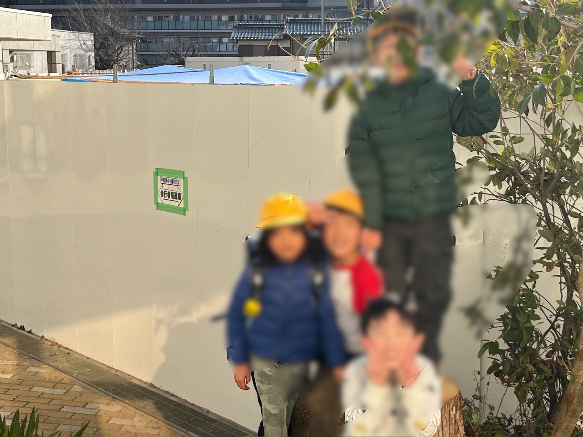 憩いの切り株です3