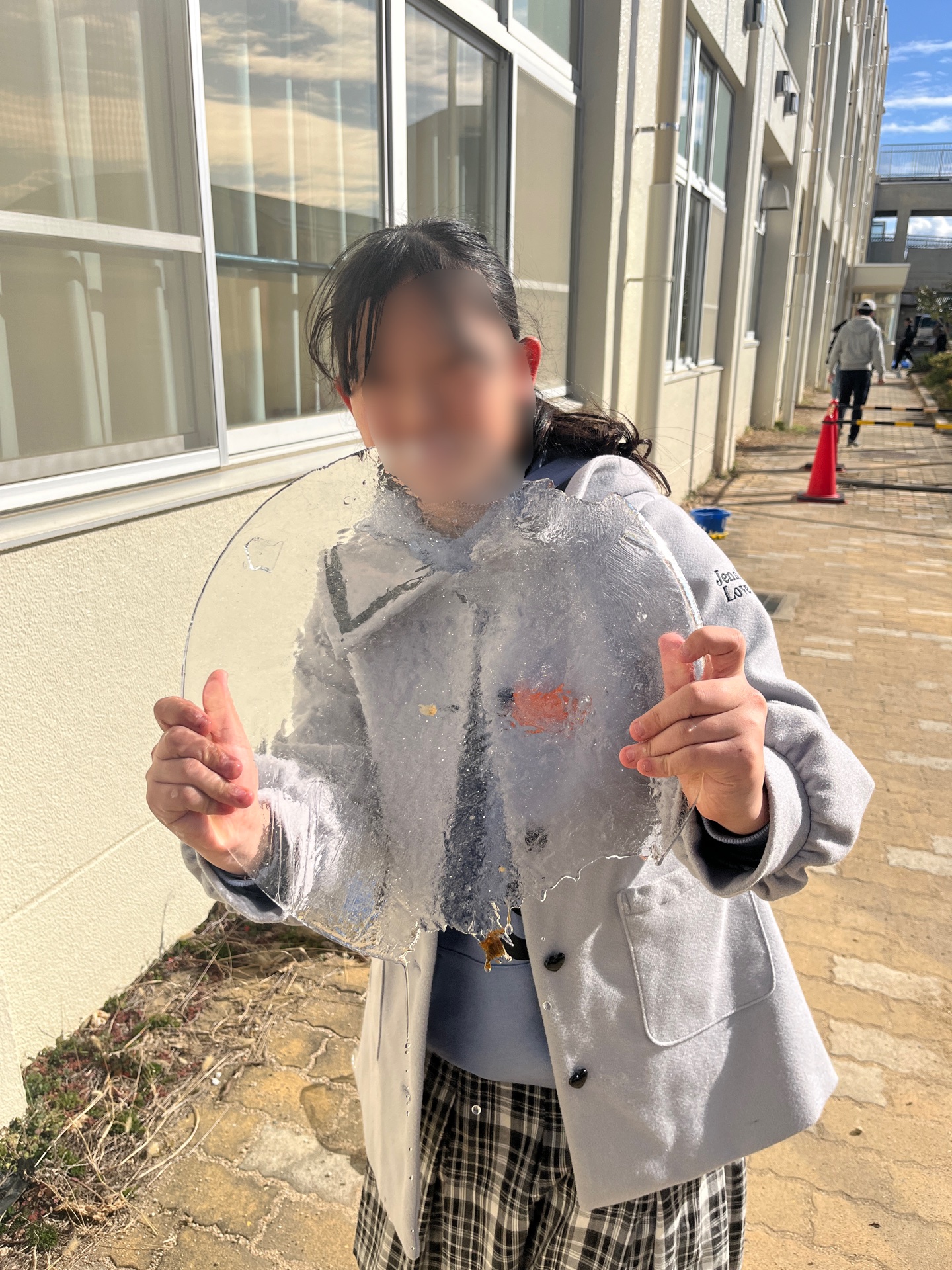 バケツの中からまあるい氷が