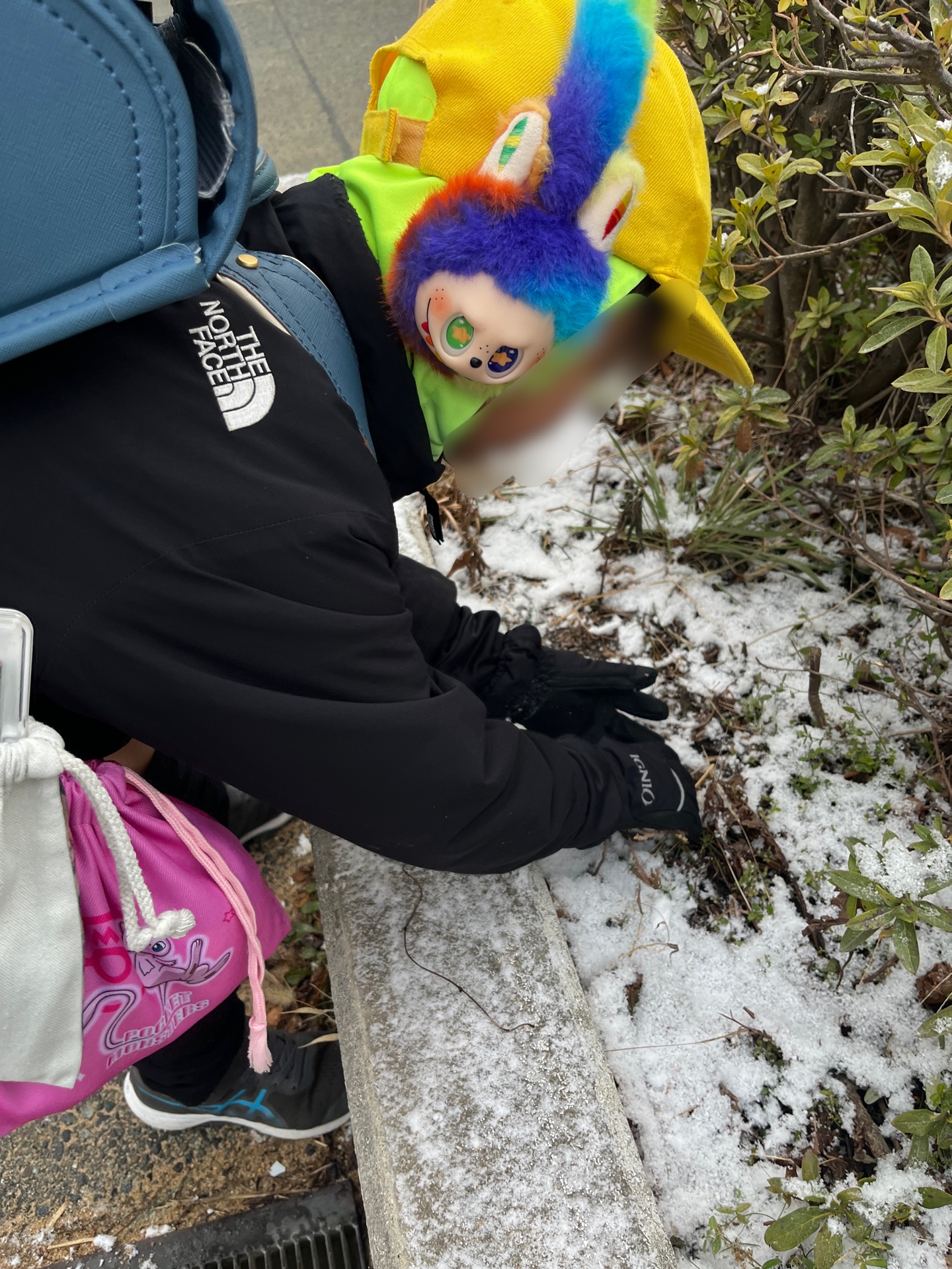 植木のところは、雪が残ってる