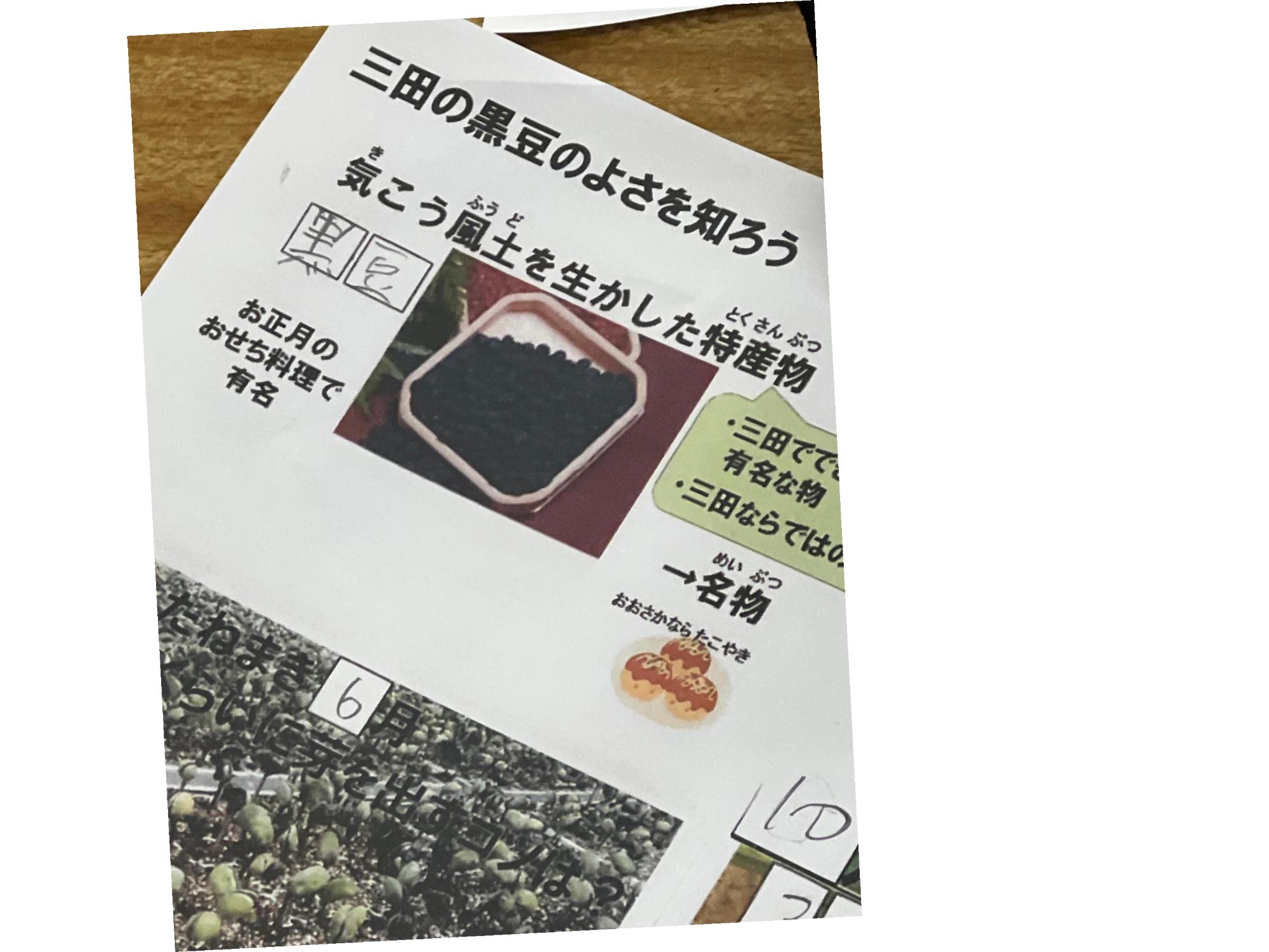 黒豆の学習プリント