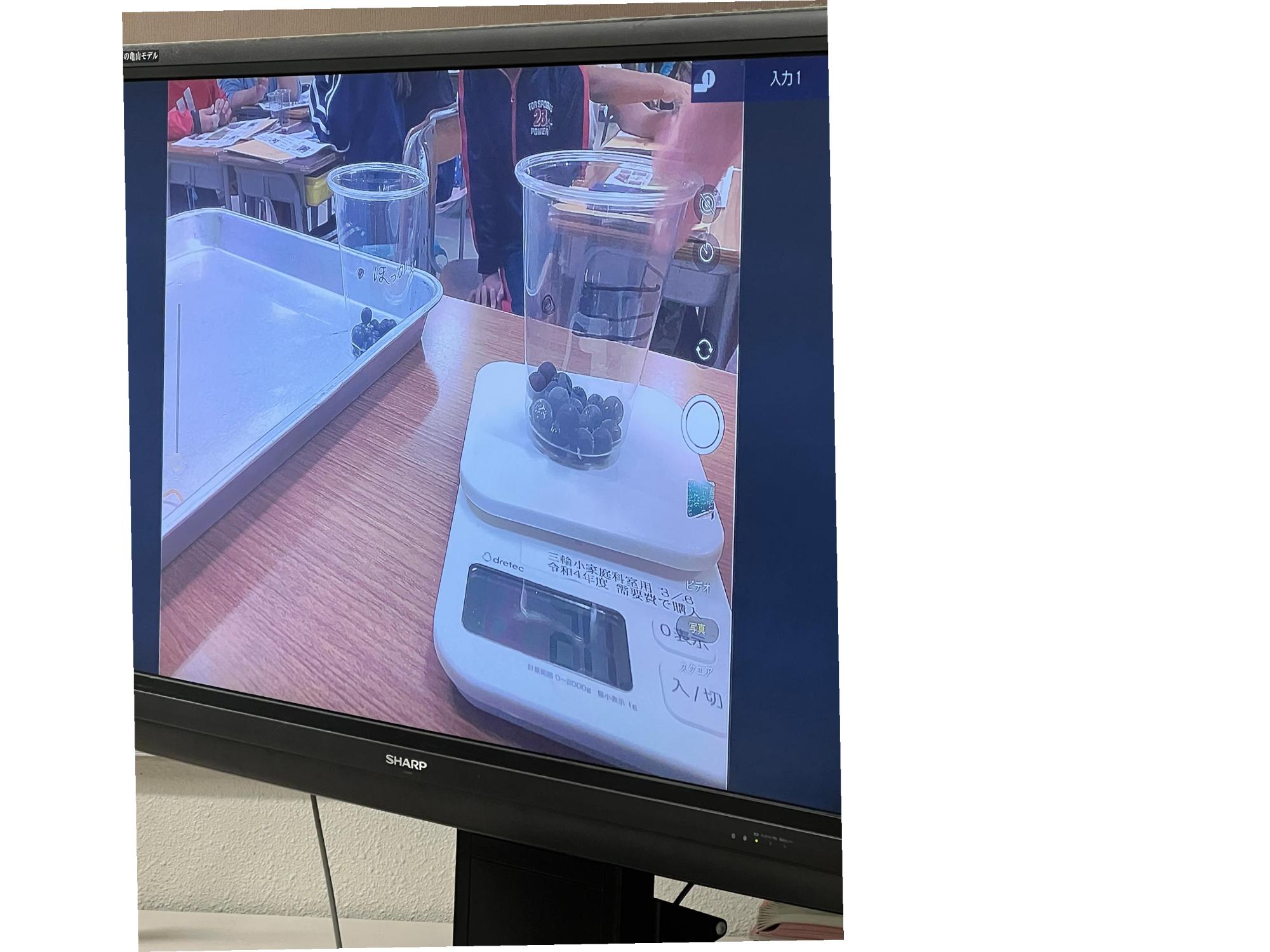 大型テレビで確認