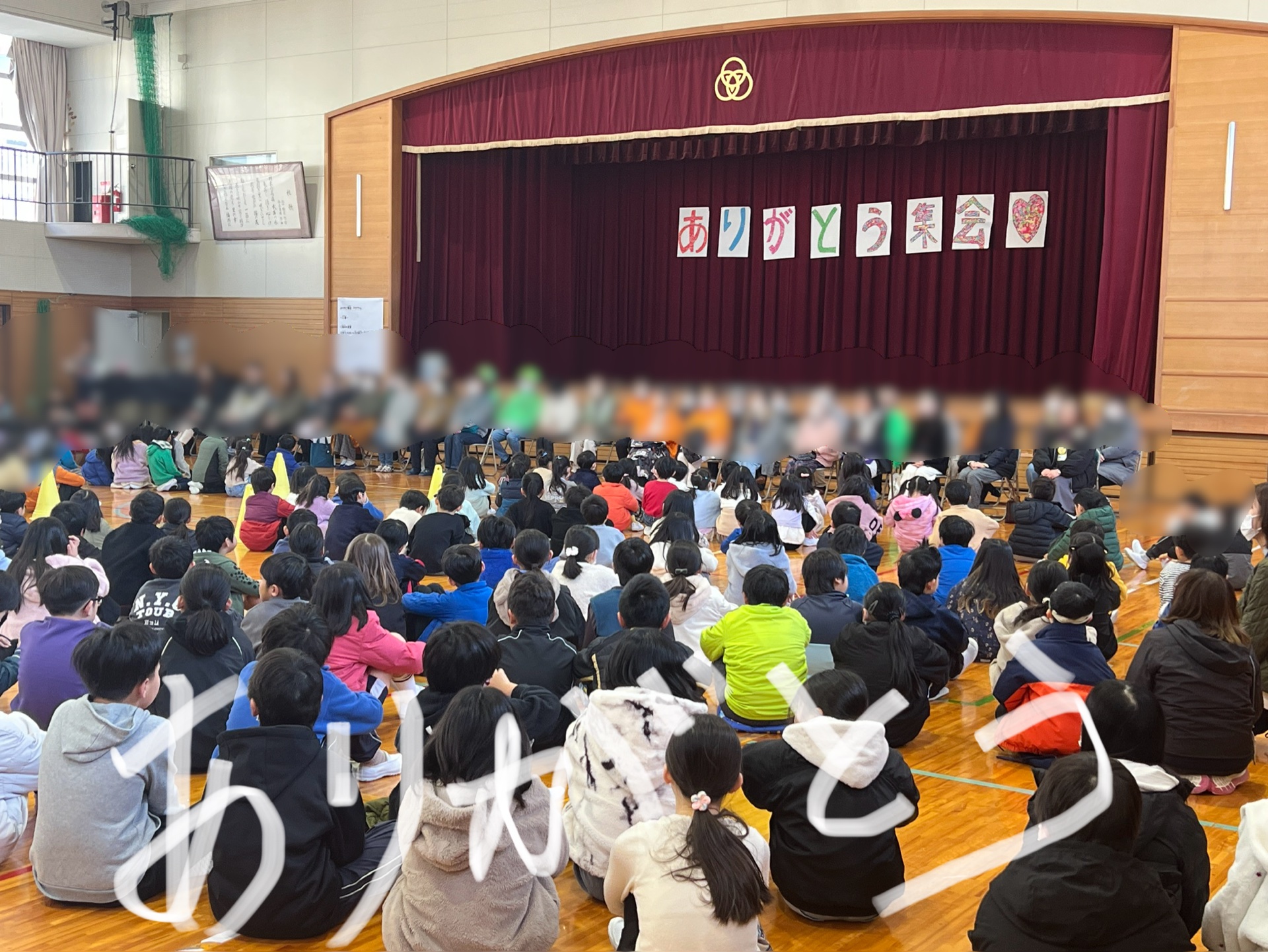 前に座っていただきました