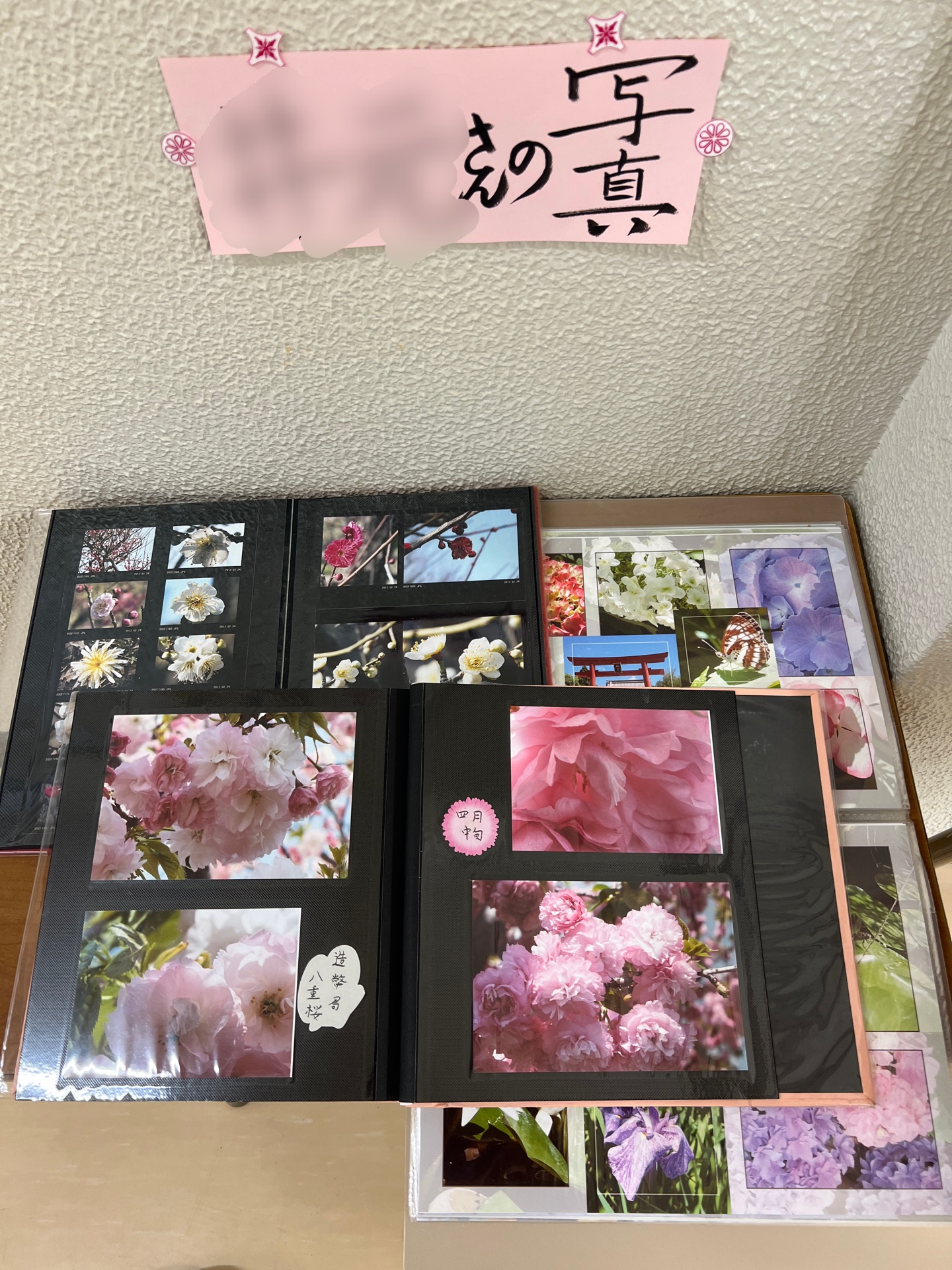 梅や桜のお花がいっぱい