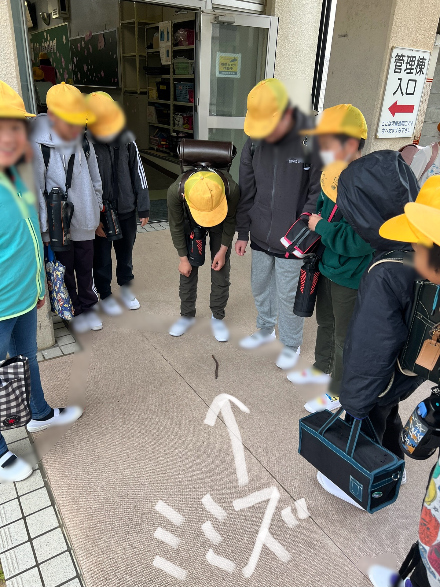 朝から巨大ミミズが