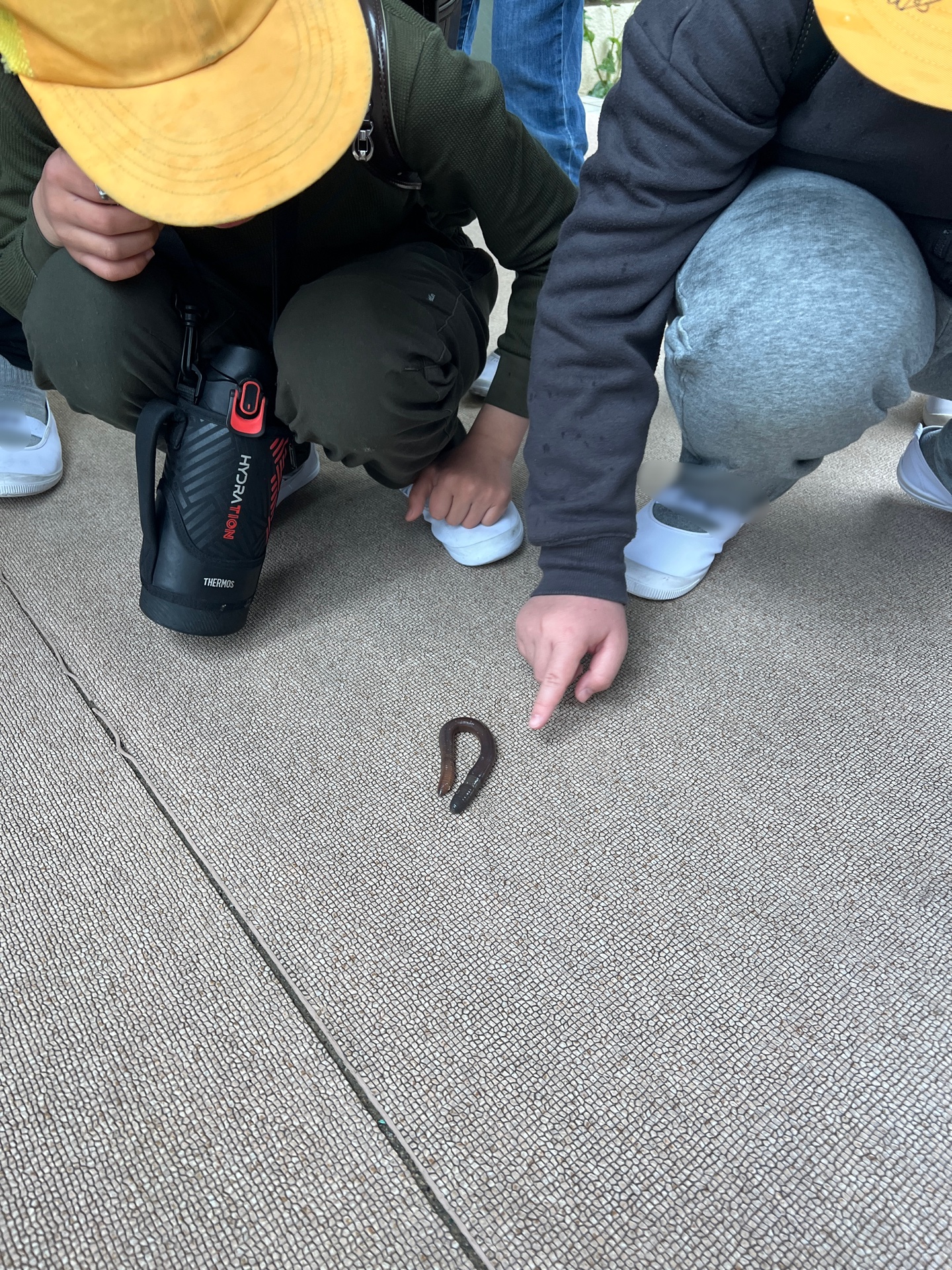 ちっちゃくなったり、ながーくなったり