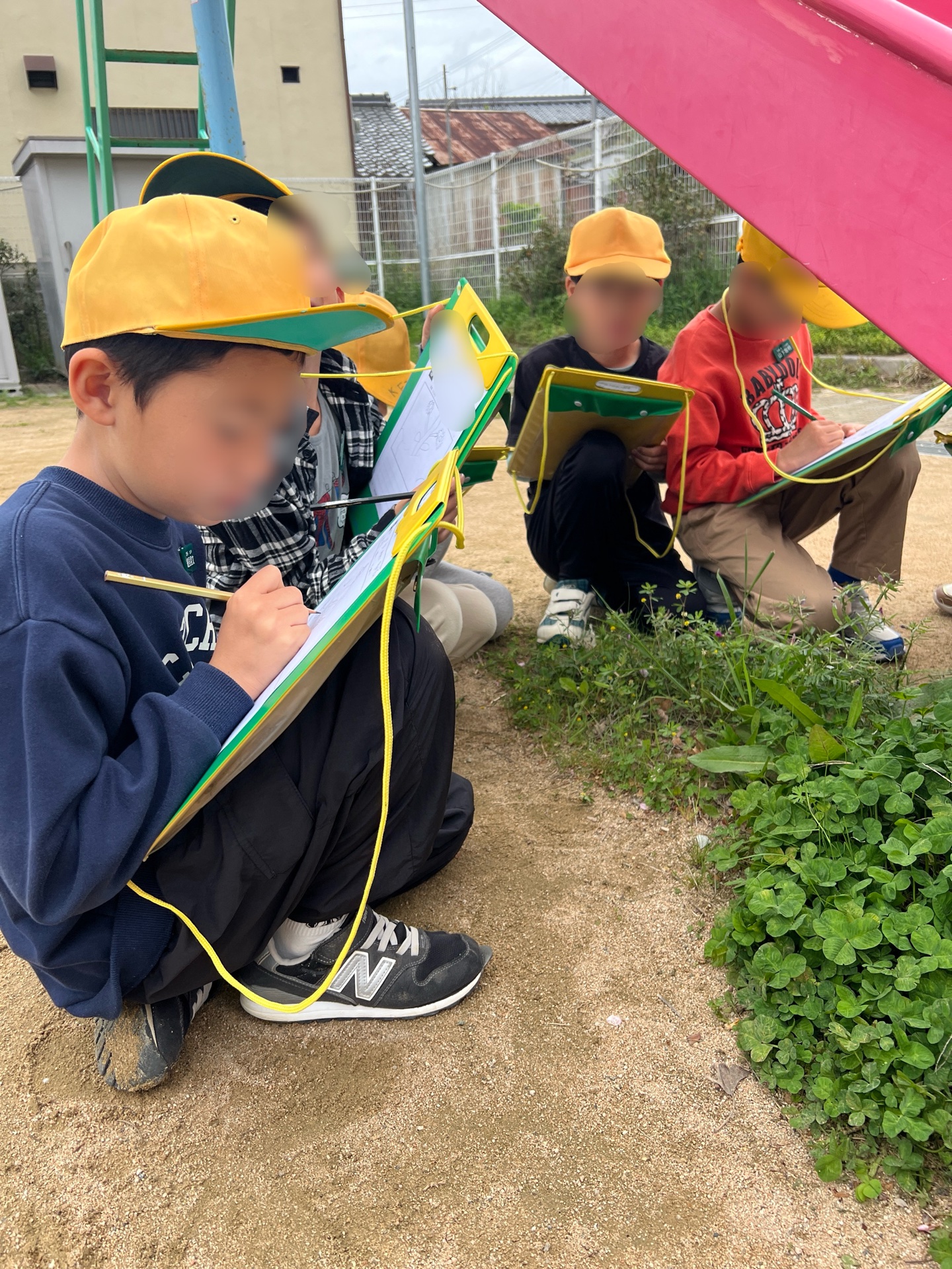 目の前には、クローバー