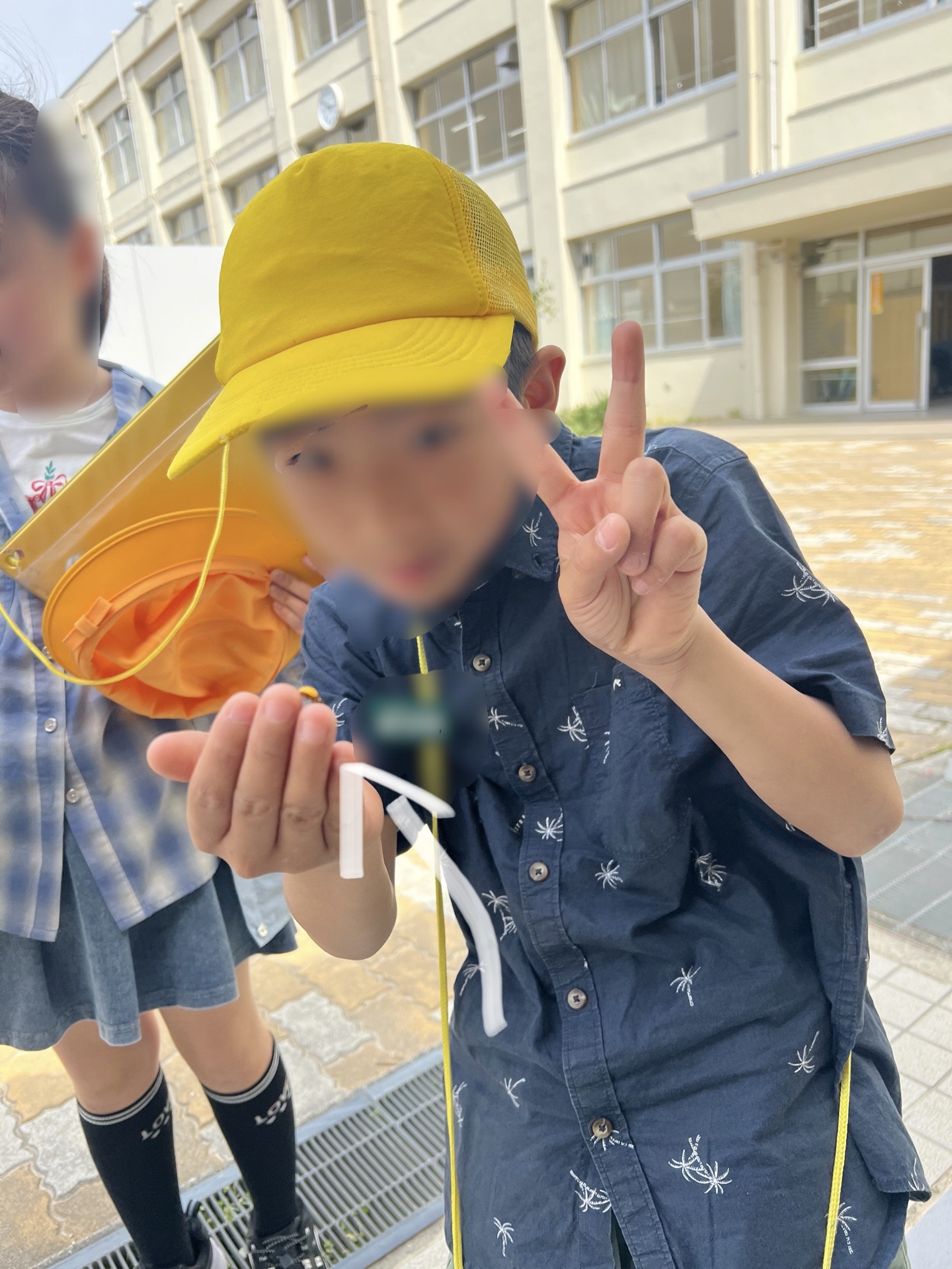 まっ黄色のてんとうむし