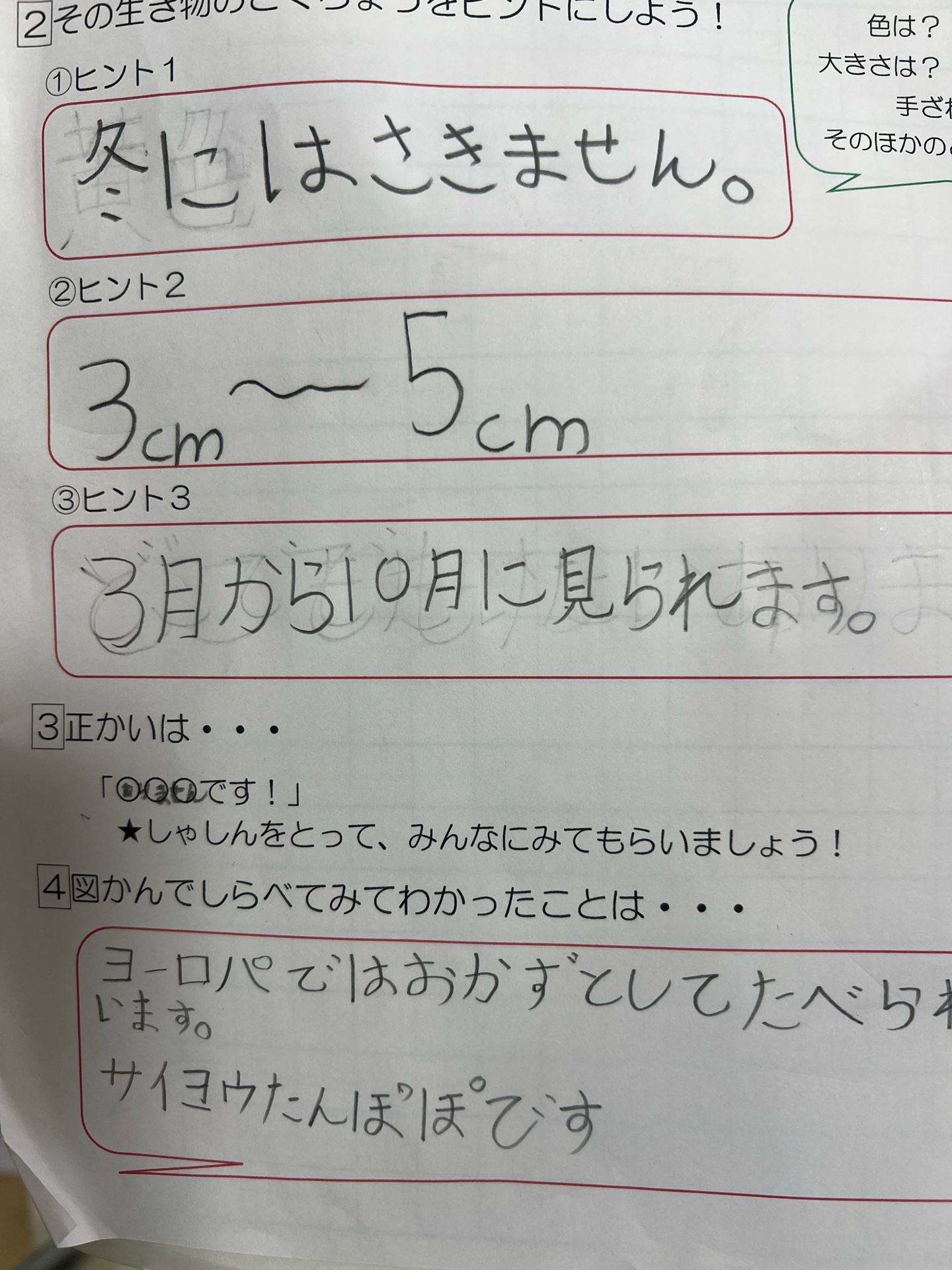 こんな風な流れです