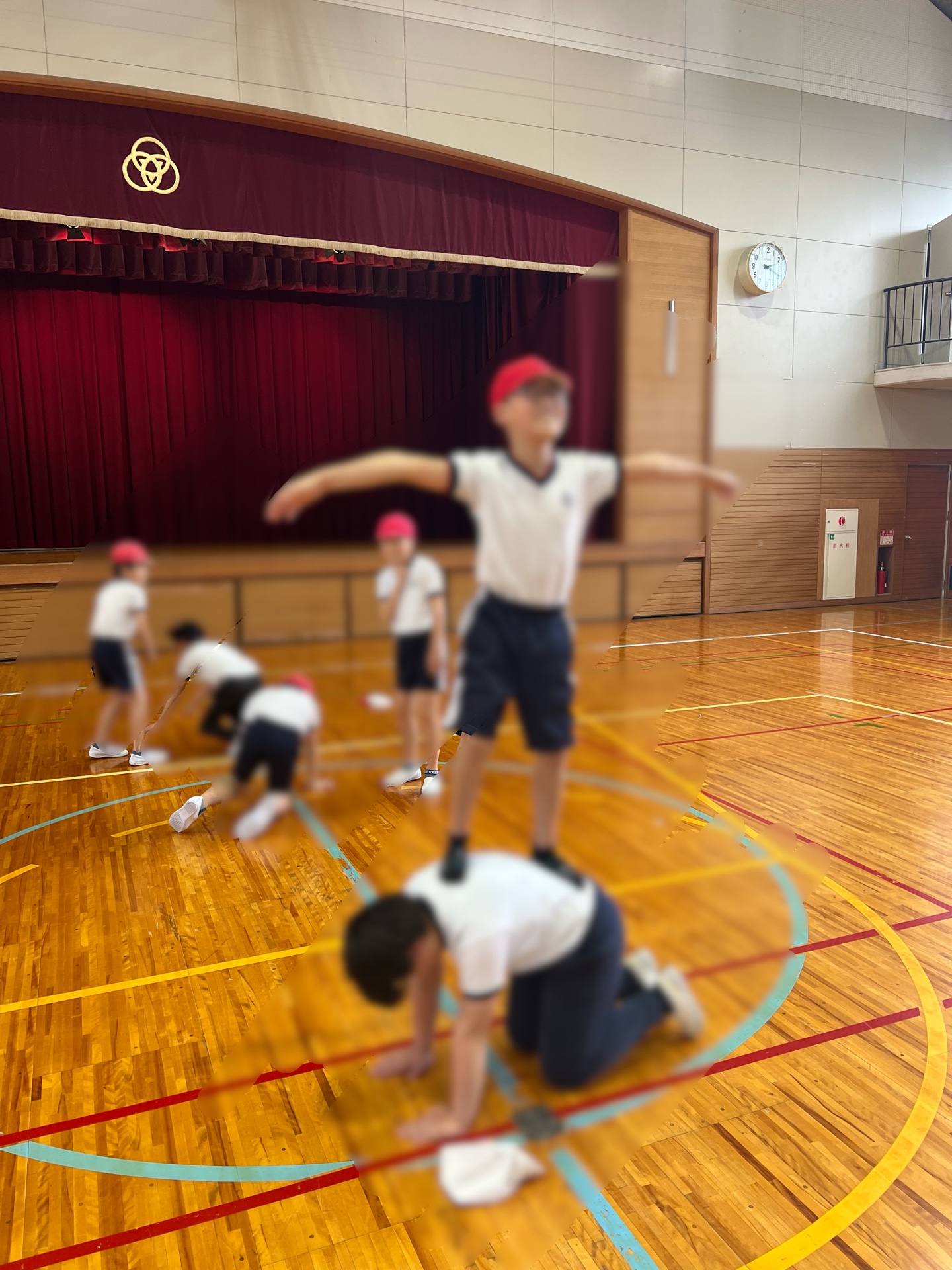 始動です！！