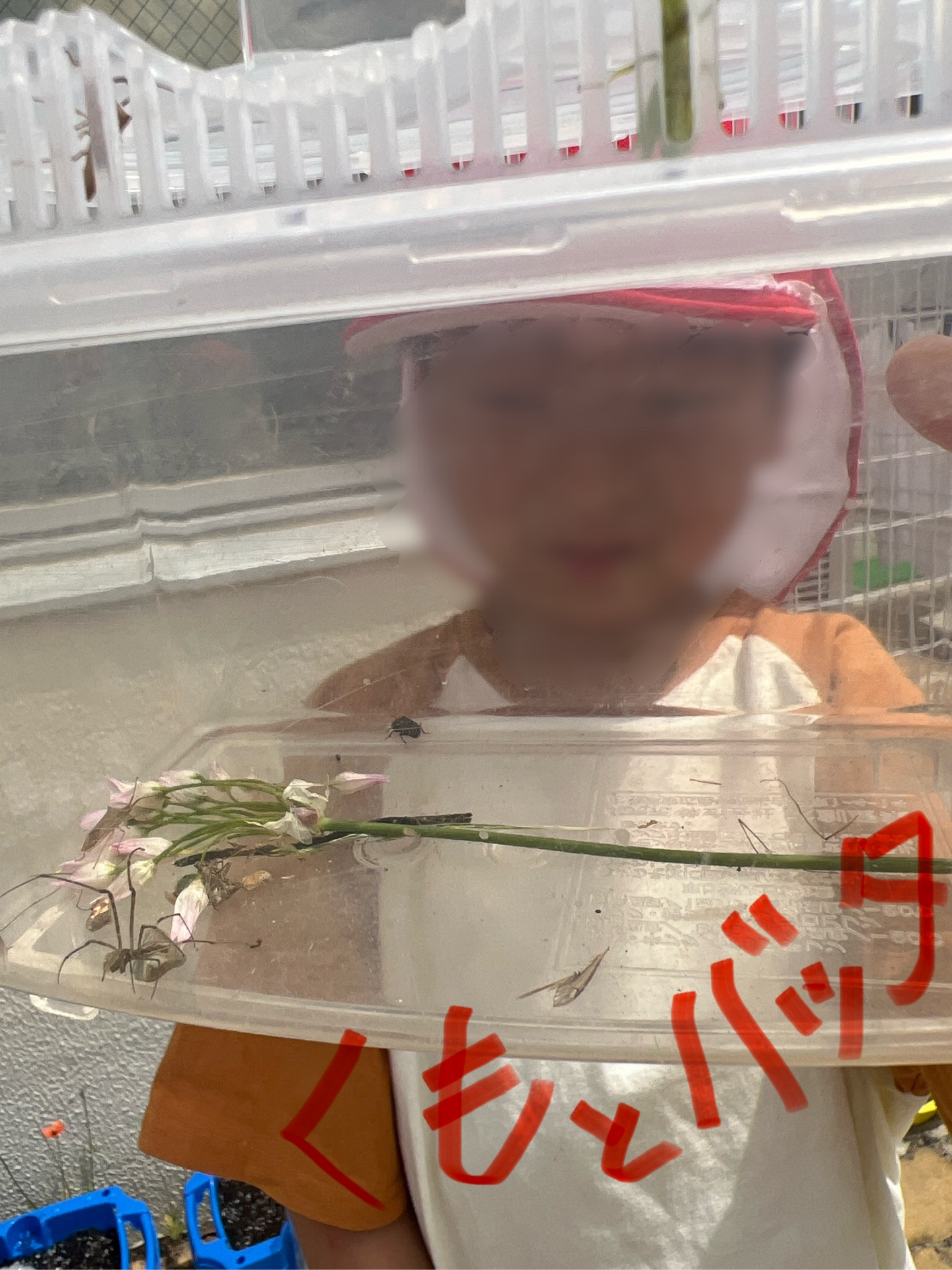 虫を捕まえたよう