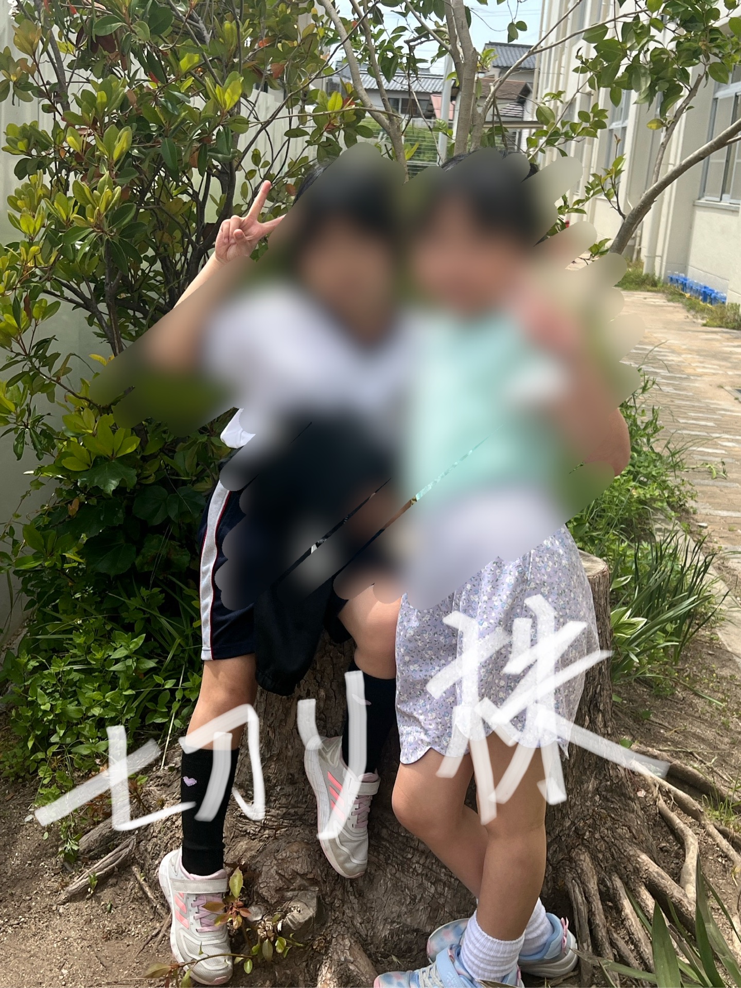 切り株でチーズ