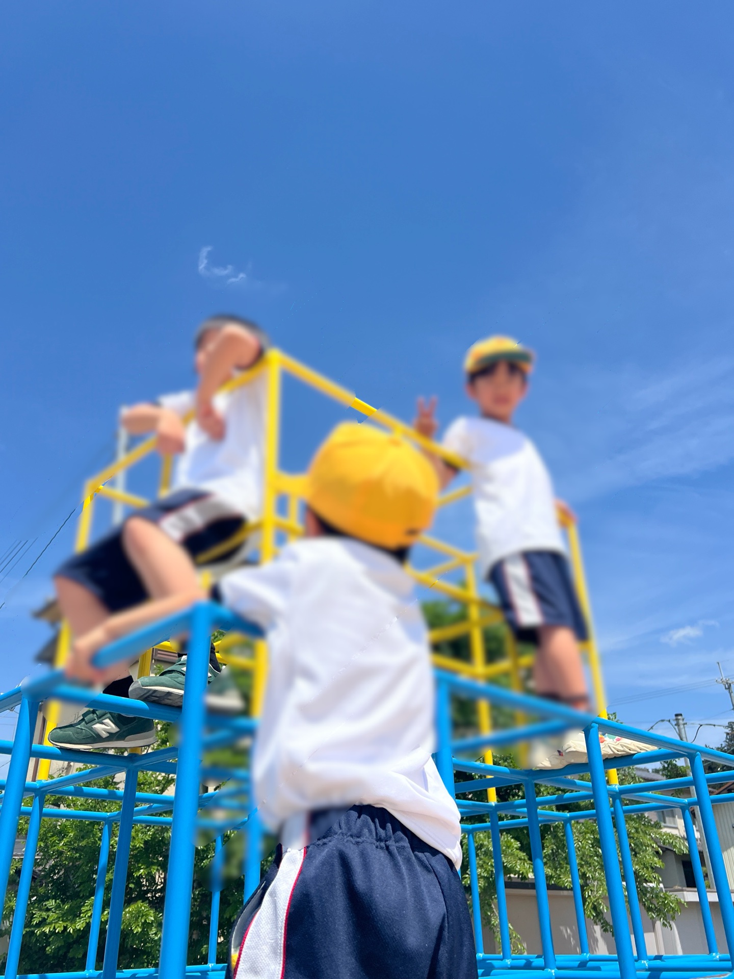 空高く
