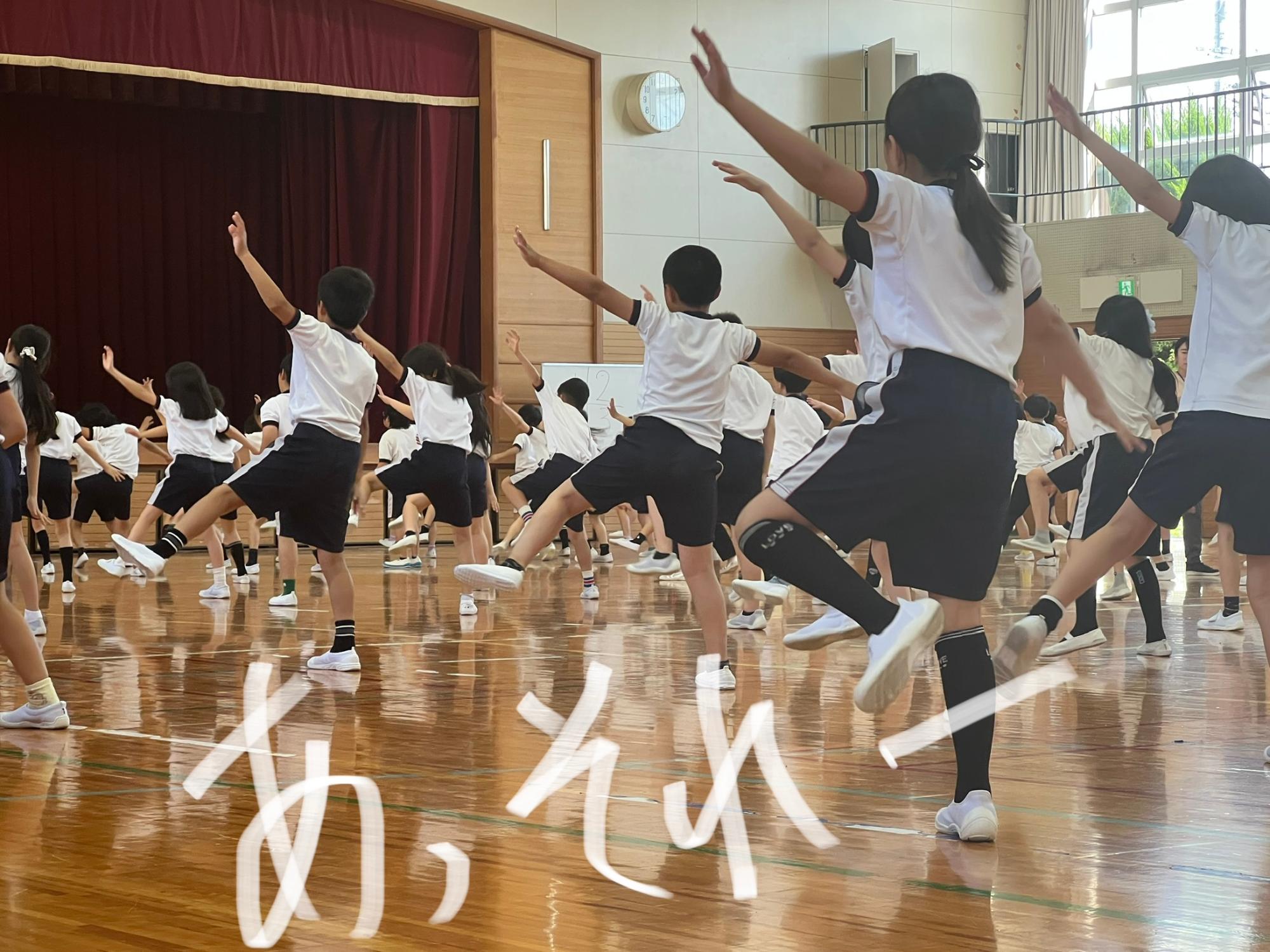 そーらん、そーらん