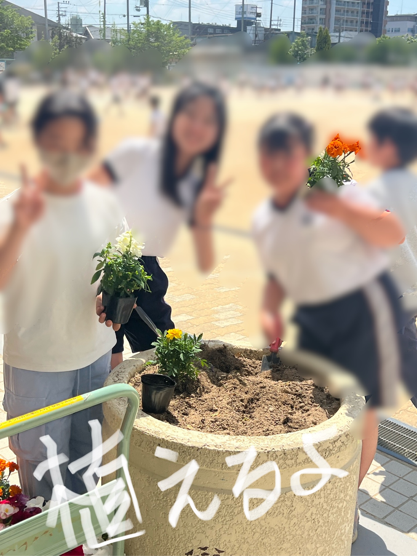 植えるところはたくさんあるんです
