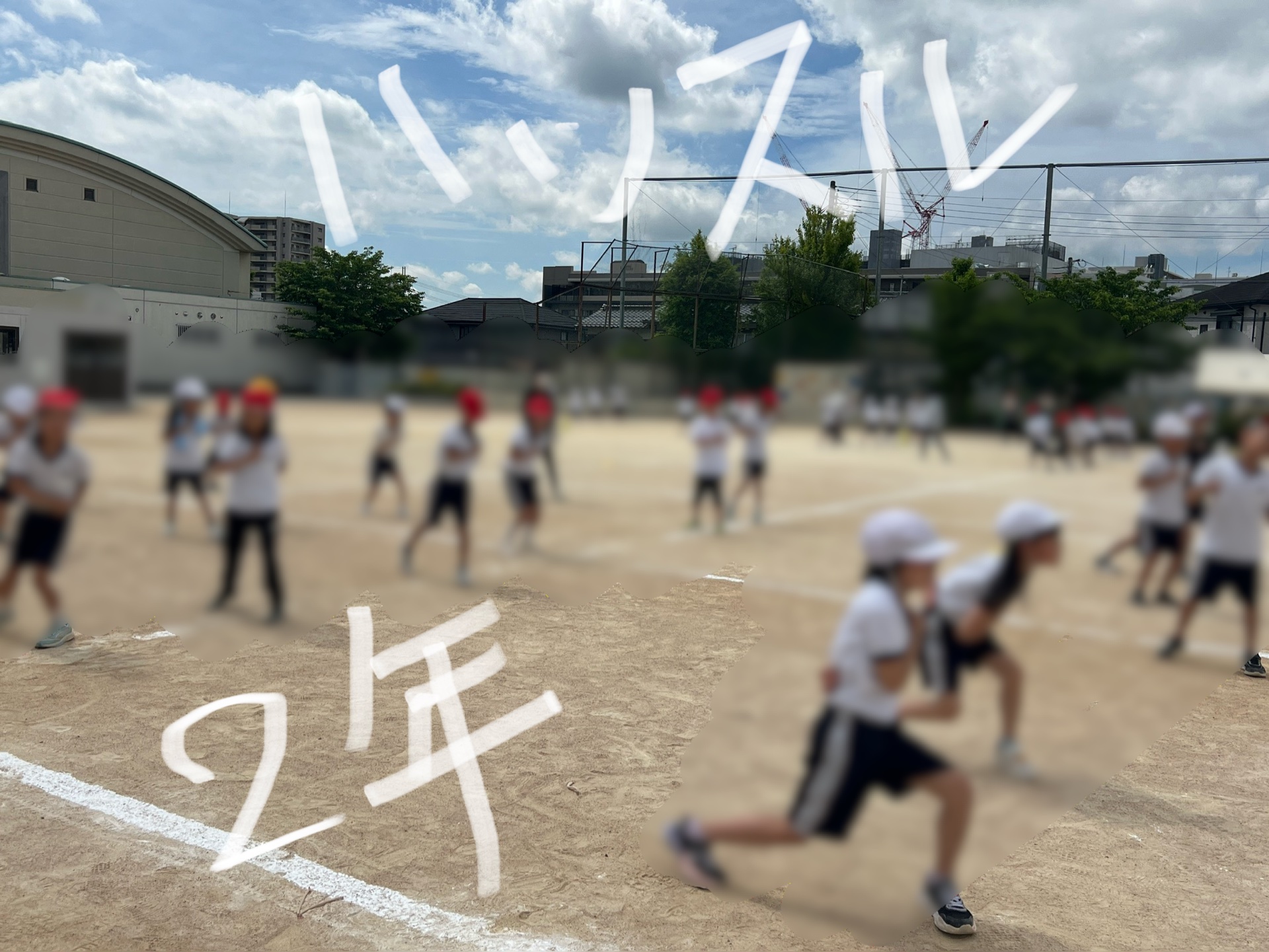 頑張ってる