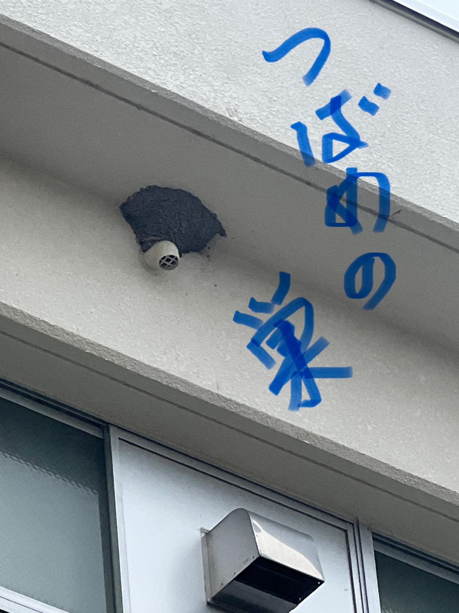 三輪小には、ツバメの巣がいくつもあります